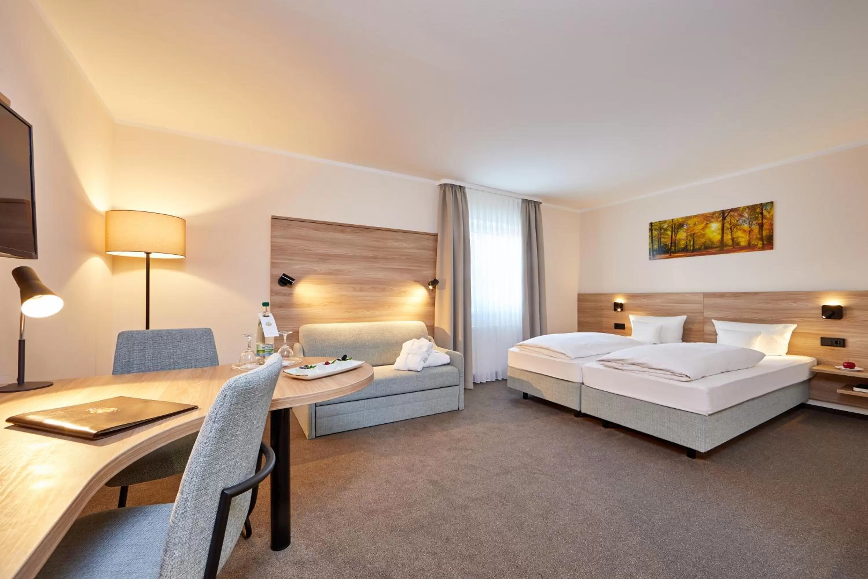 Business Double Room - single occupancy in Hotel Linderhof