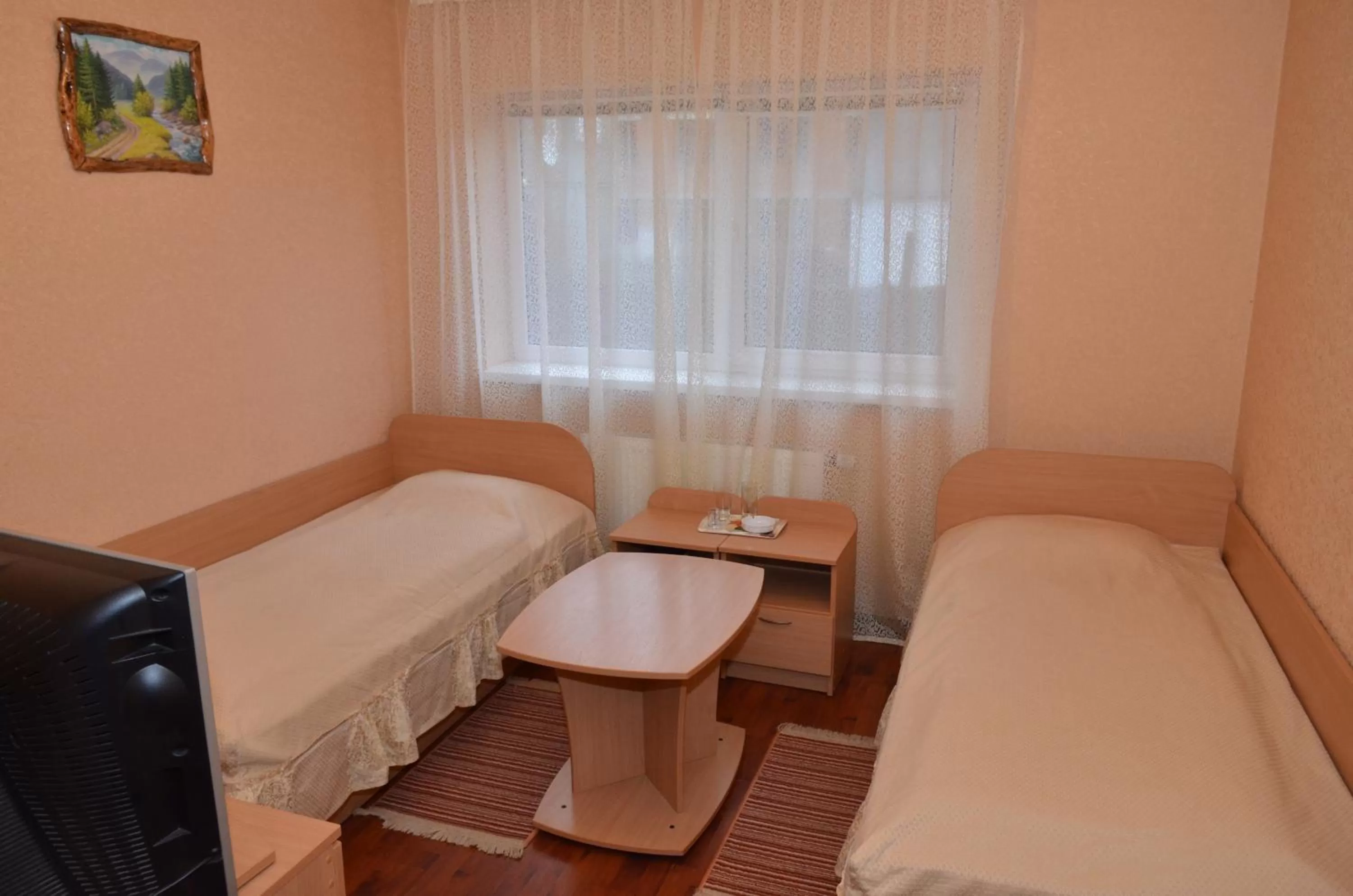 Twin Room - single occupancy in Hotel Serpanok