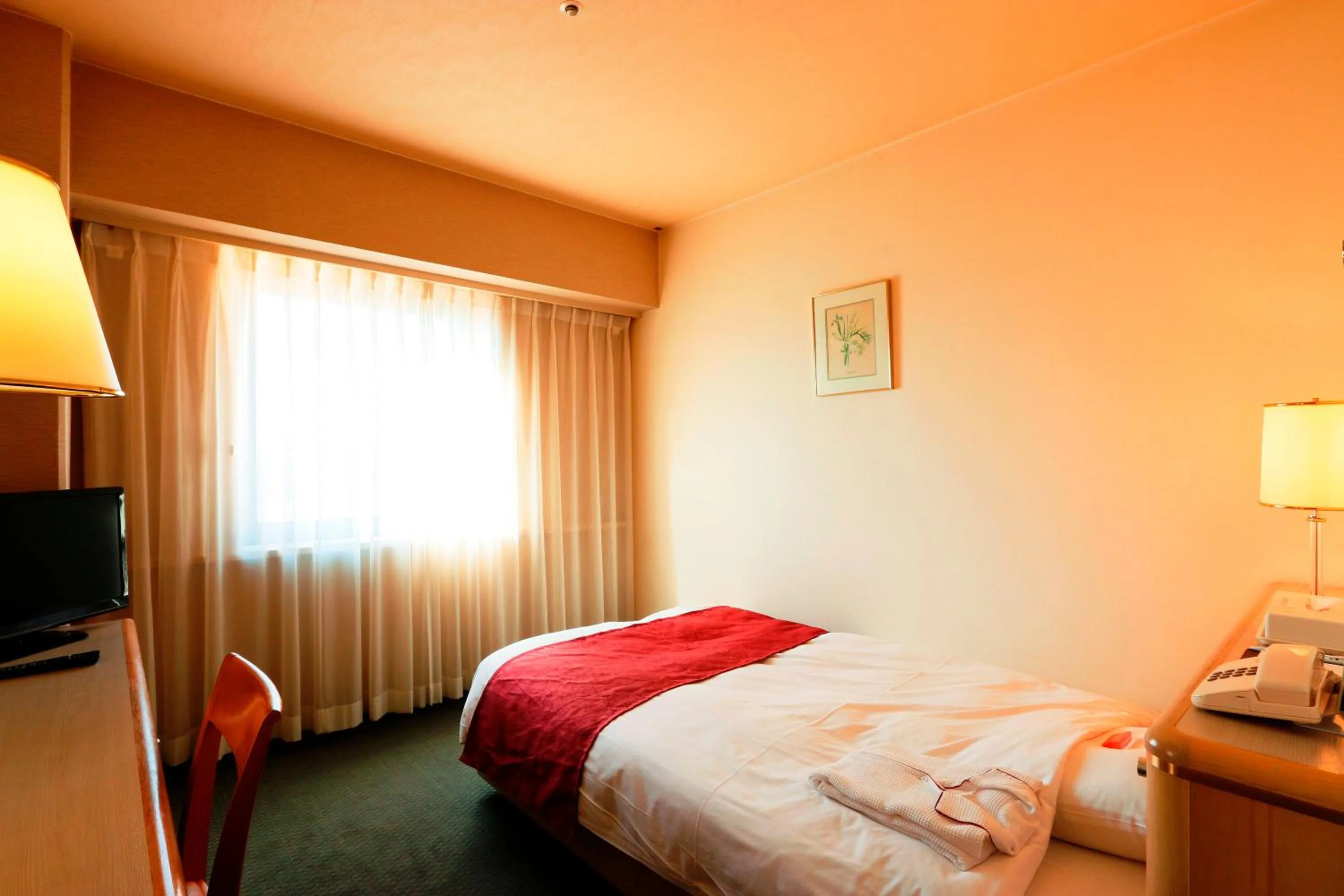 Double Room with Small Double Bed - single occupancy - Non-Smoking in Nest Hotel Matsuyama