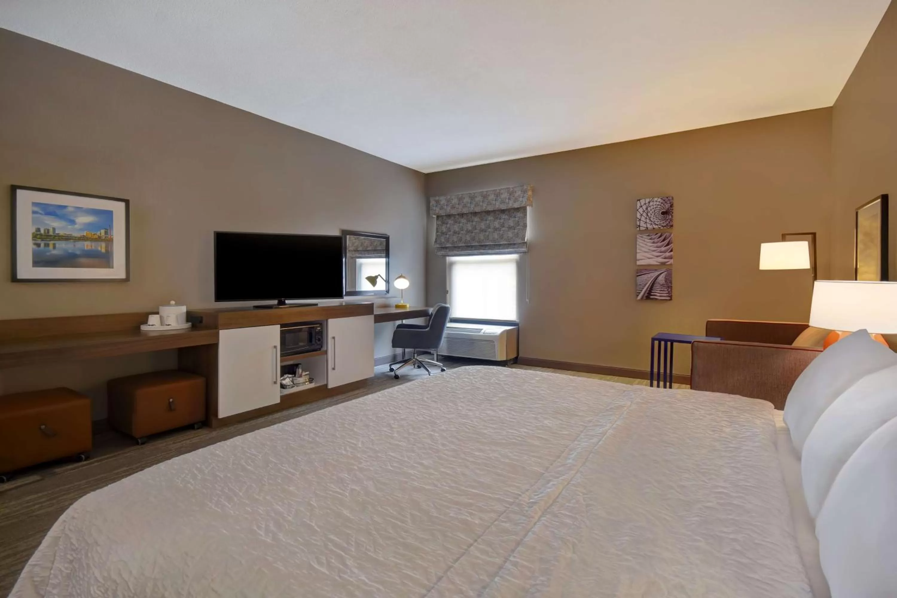 King Room with Accessible Tub - Mobility and Hearing Access/Non-Smoking in Hampton Inn Birmingham-Colonnade 280