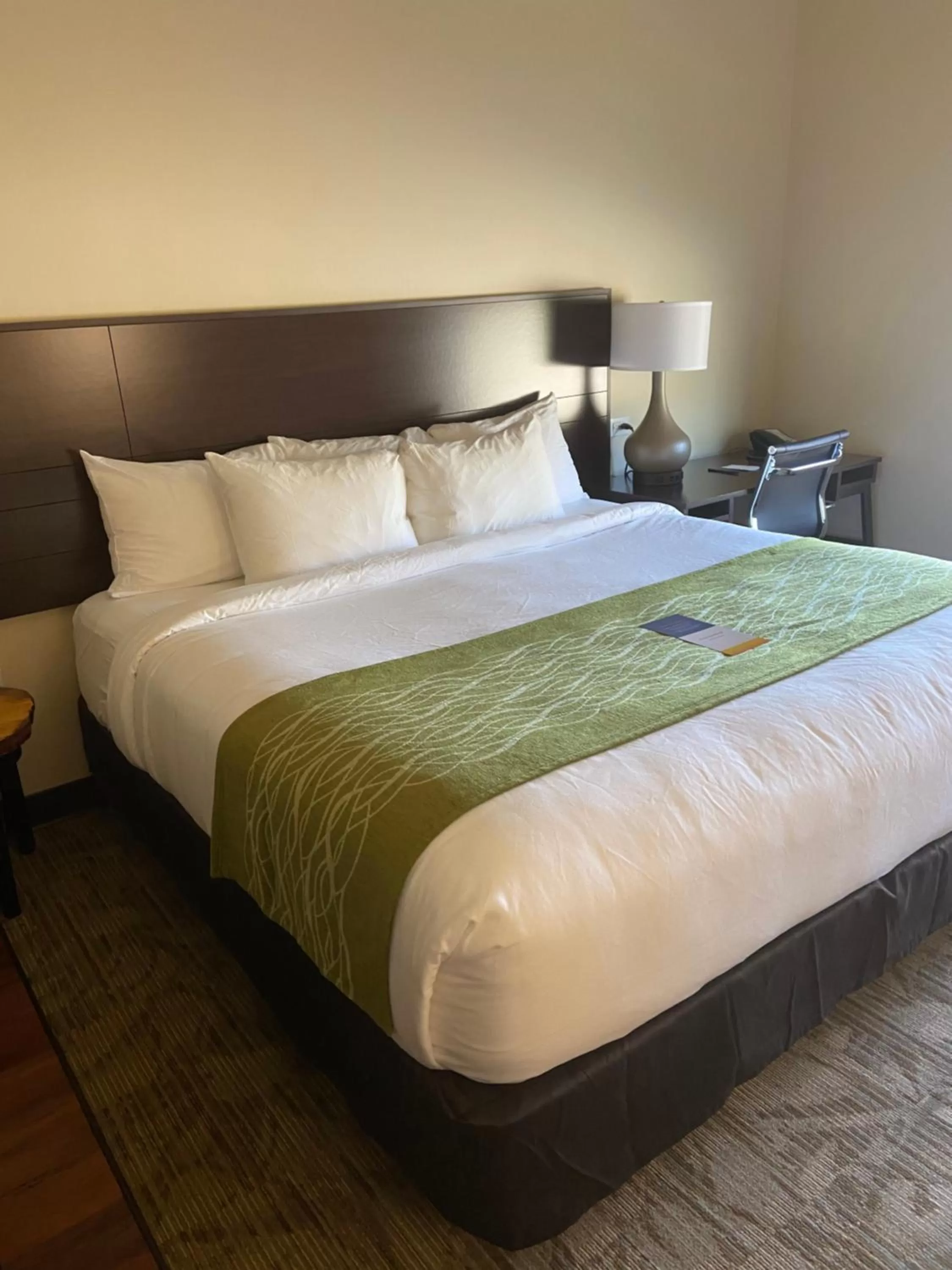 King Room - Accessible/Non-Smoking in Comfort Inn Connellsville Riverview