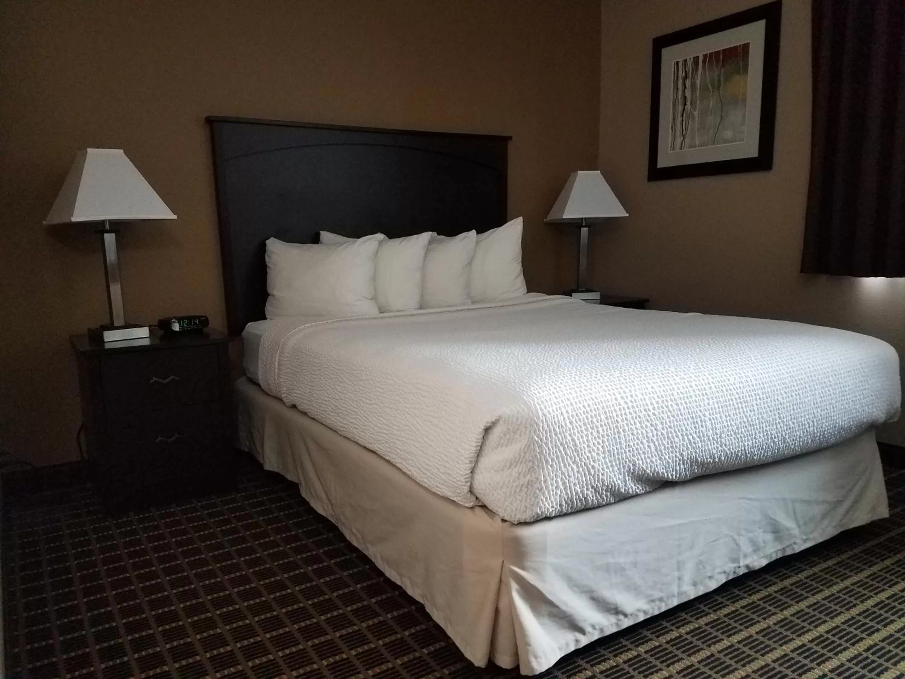Queen Room - Non-Smoking in Americas Best Value Inn and Suites Bismarck