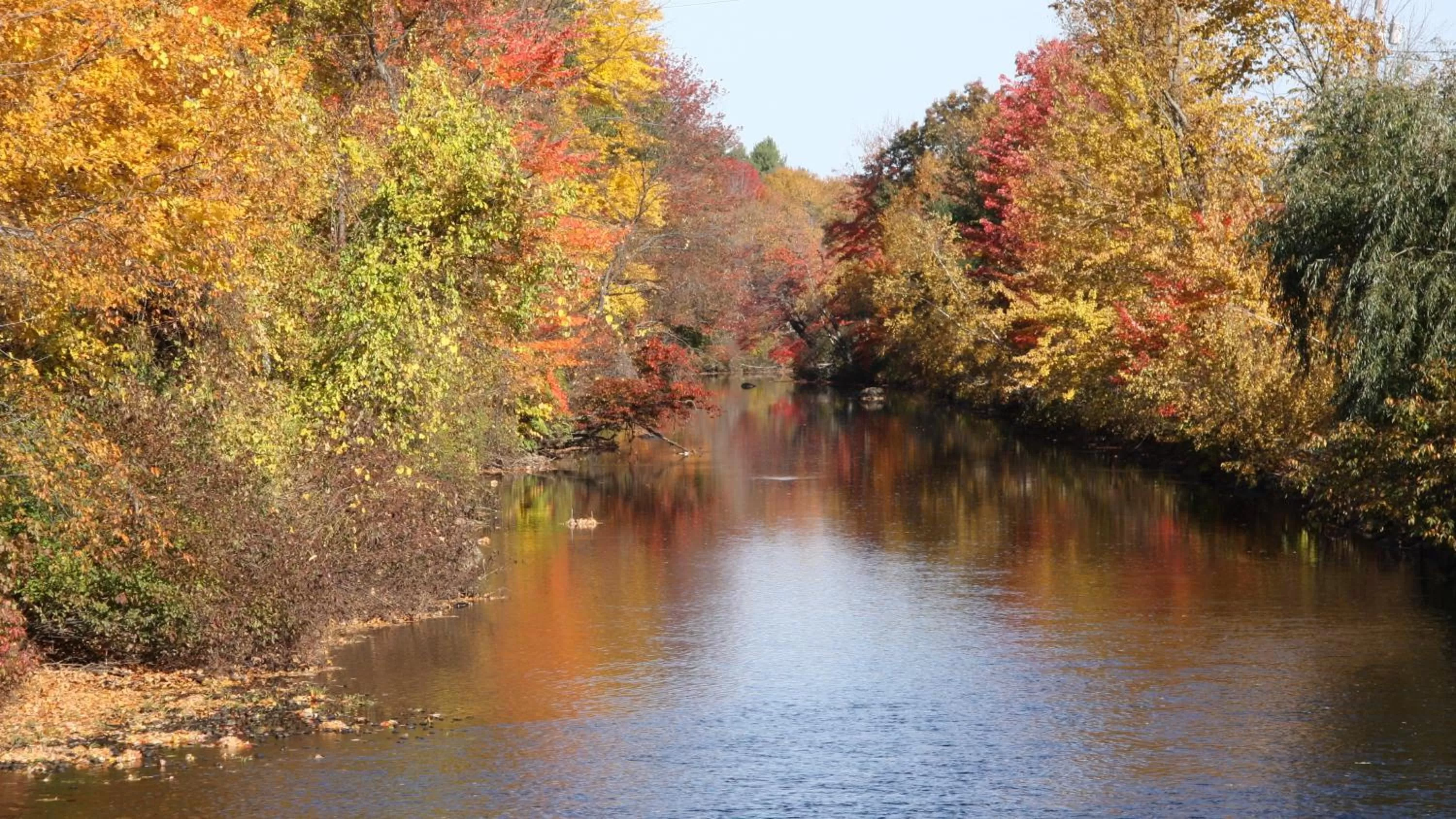 Deluxe Single Room in Riverhouse by Weekender formerly Jack Daniels Inn