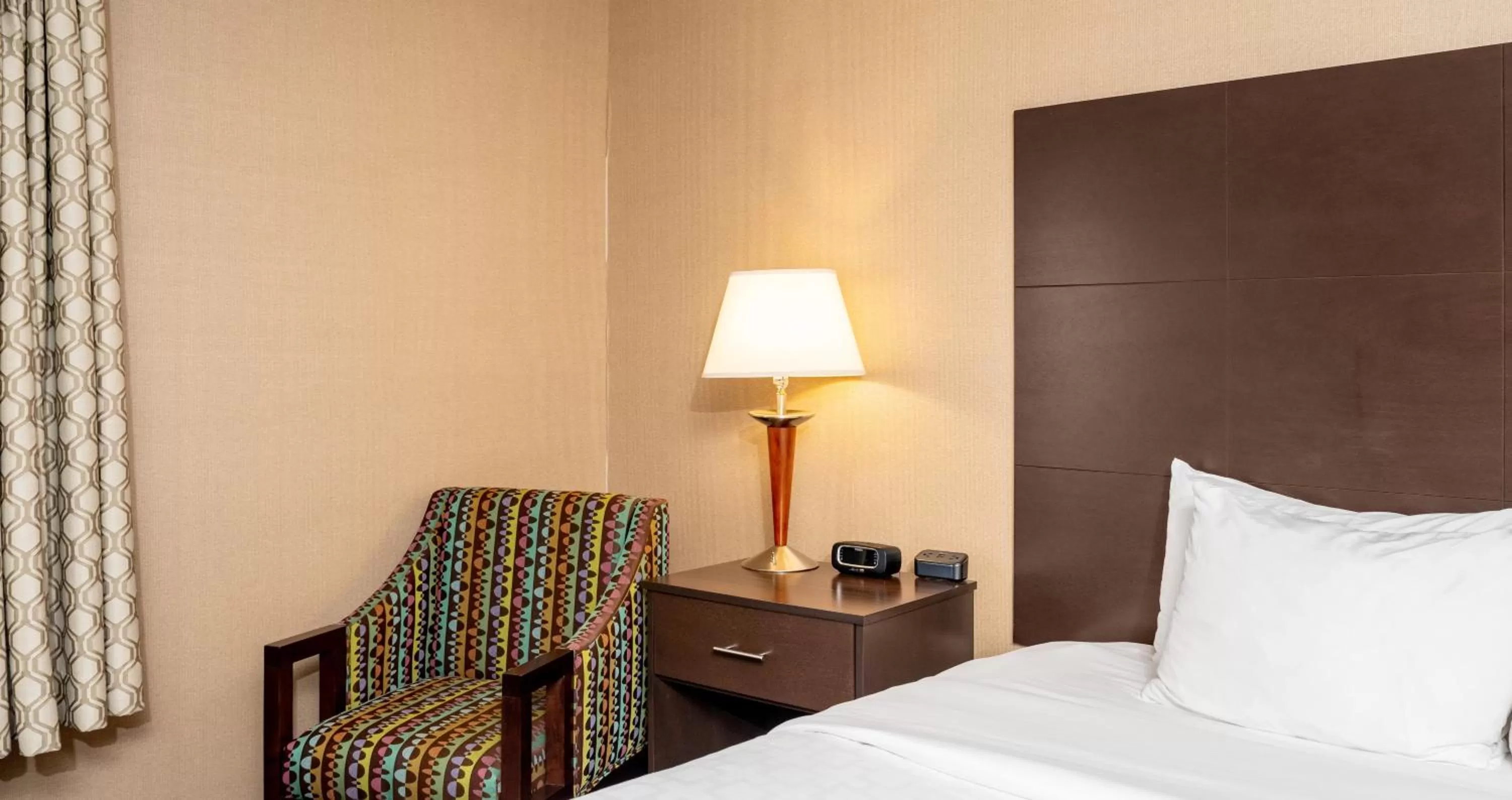 Superior King Suite - Non Smoking/Pet Friendly in Clarion Pointe Harrisonburg