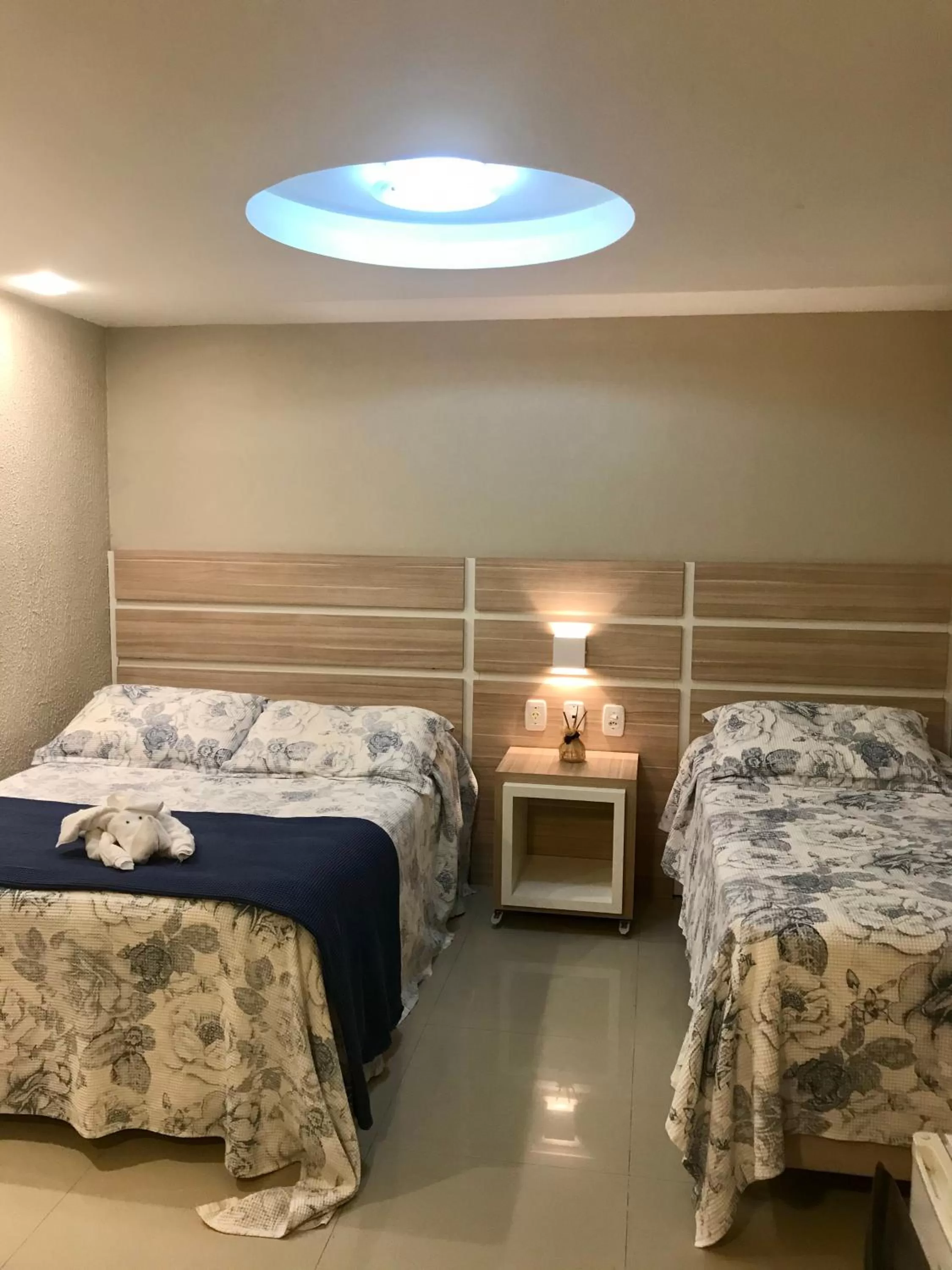 Standard Double or Twin Room in Hotel Ibicui