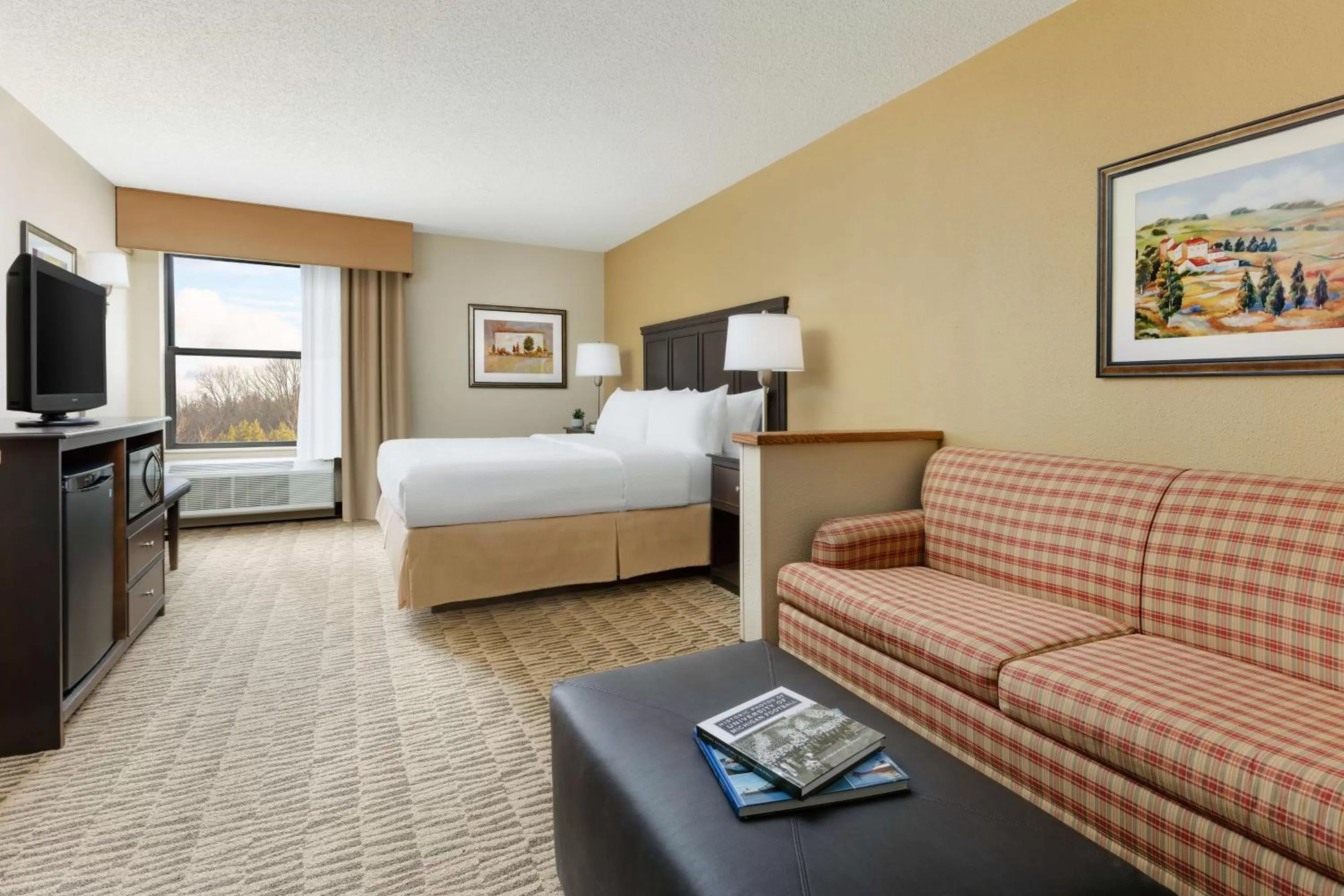 Executive King Room with Sofa Bed - Non-Smoking in Countryside Inn Jackson