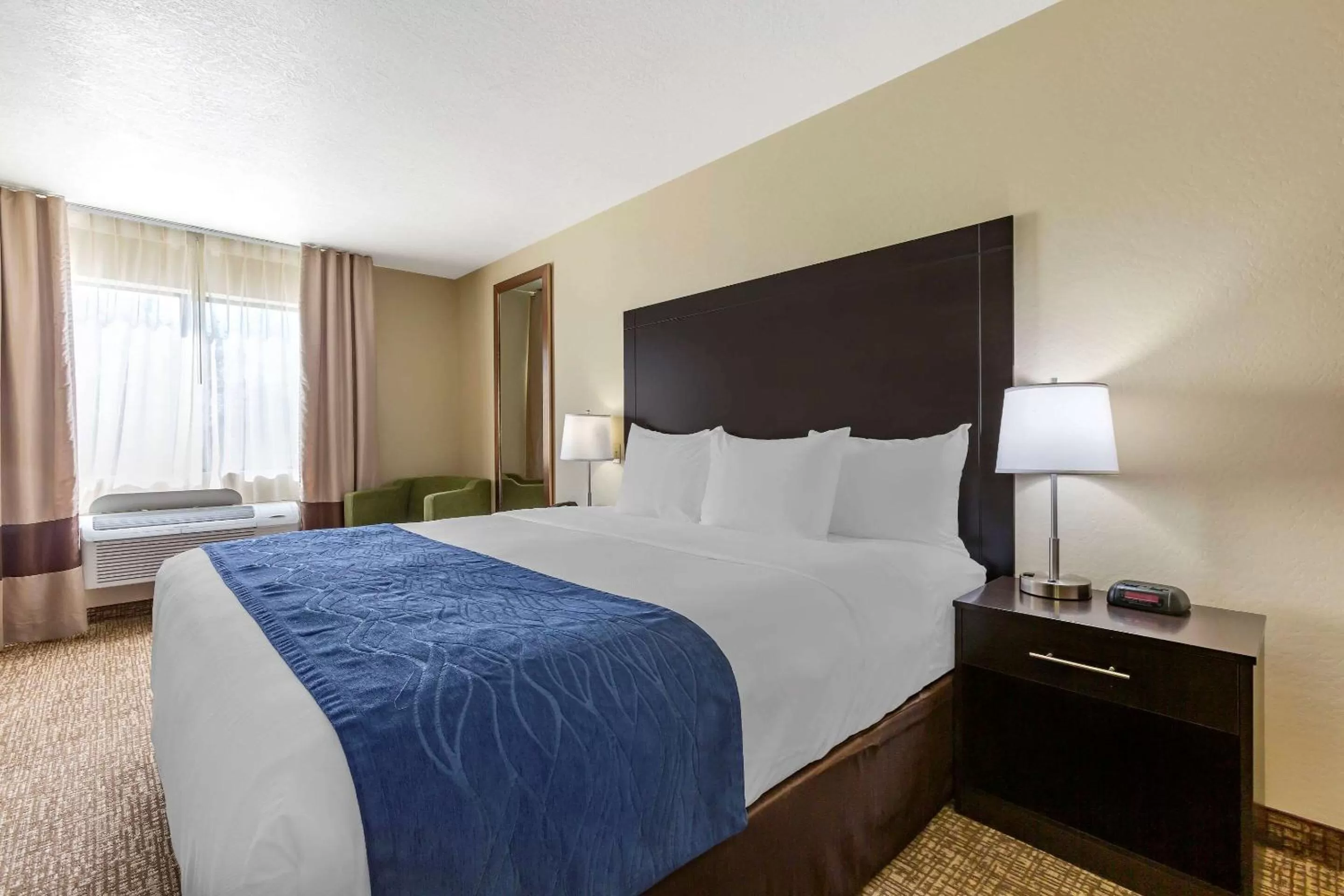 Standard King Room - Non-Smoking  in Comfort Inn & Suites Surprise Near Sun City West