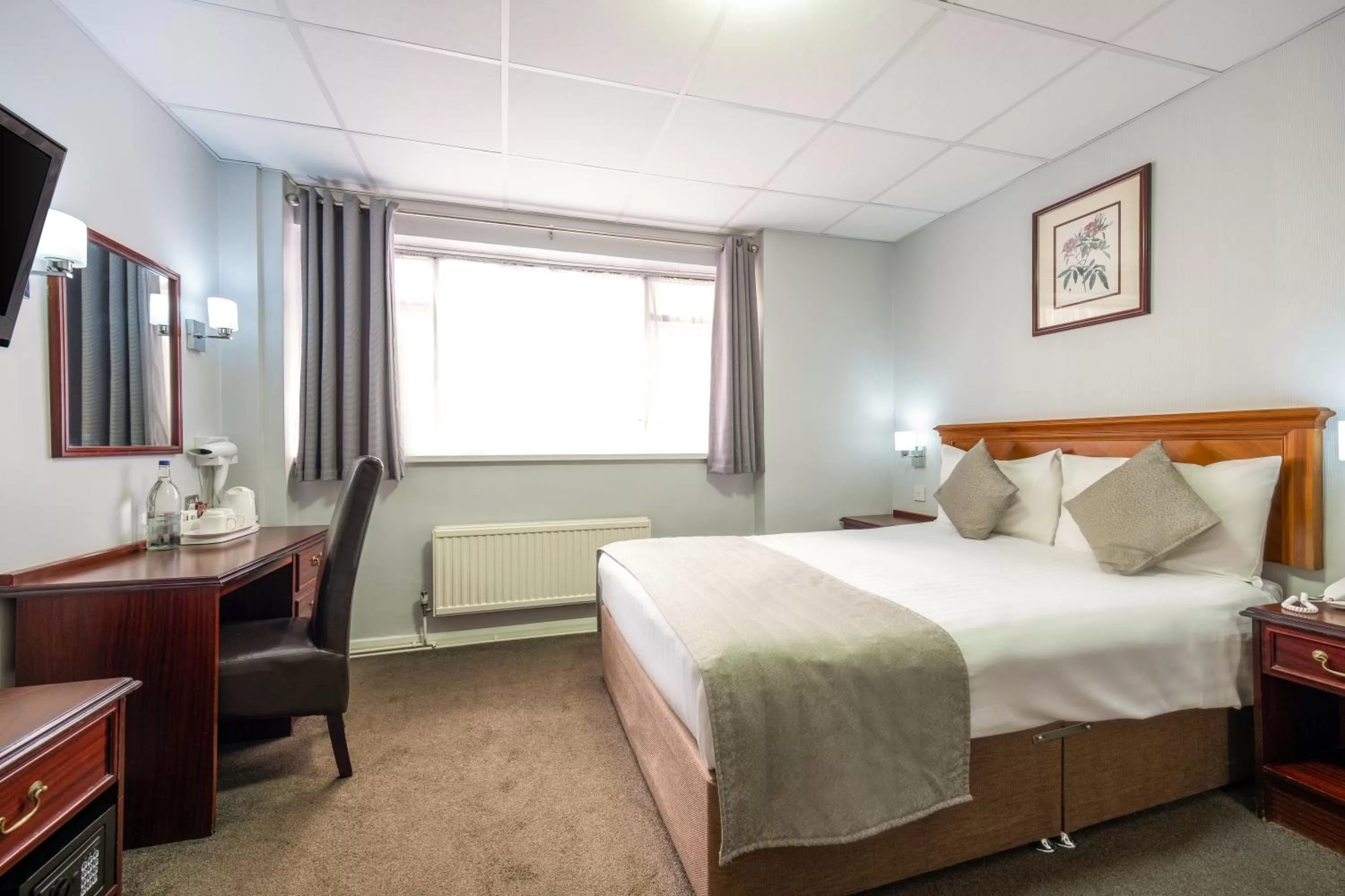 Comfort Plus in Comfort Inn Birmingham
