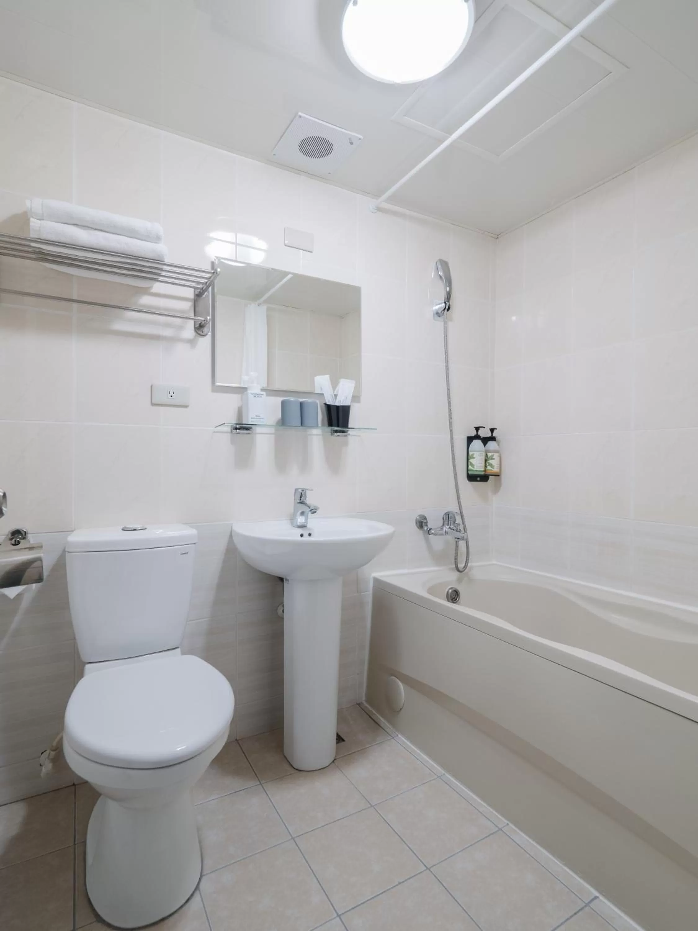 Toilet in Hotel attic
