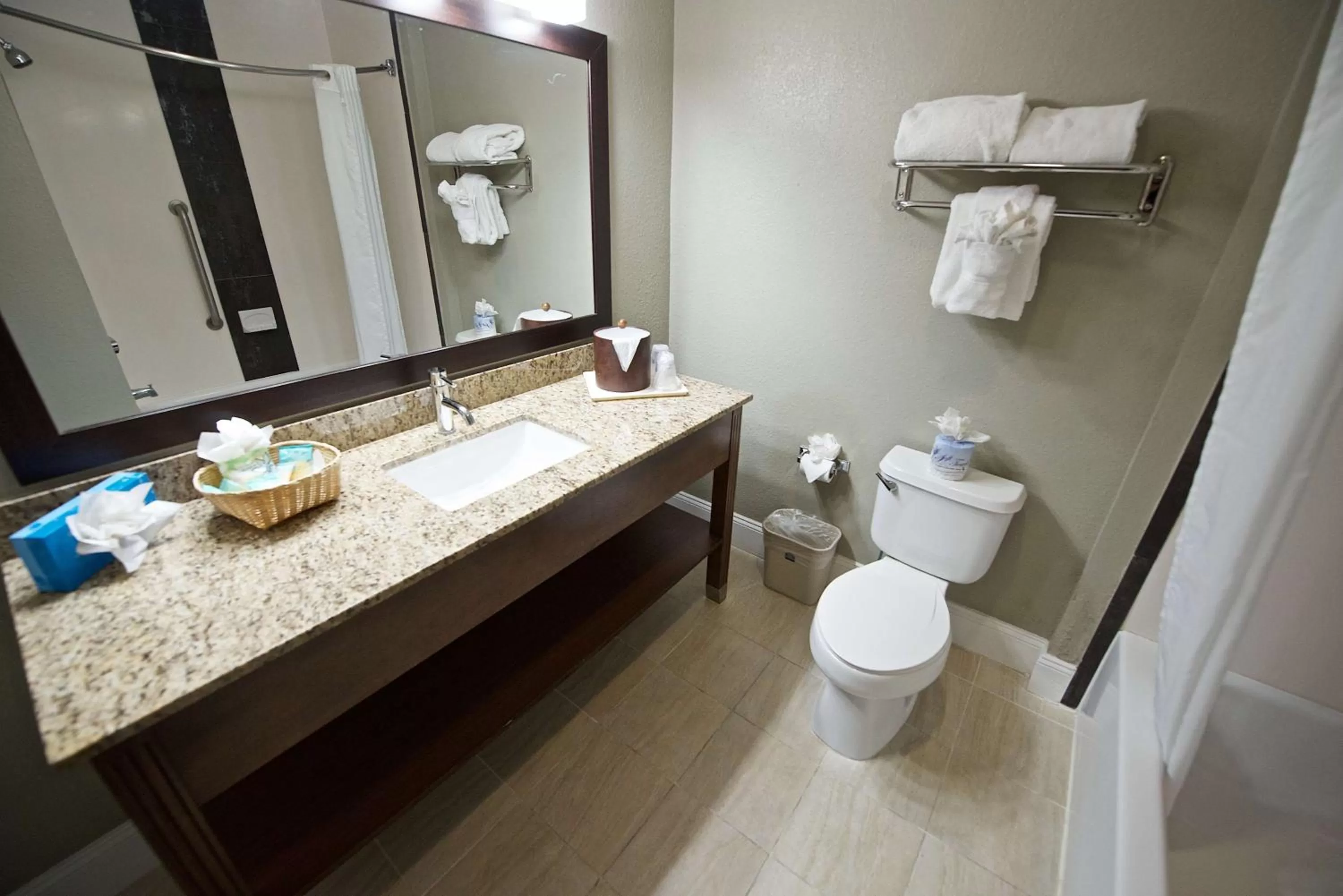 One-Bedroom King Suite with Sofa Bed - Non-Smoking in Best Western Airport Inn & Suites