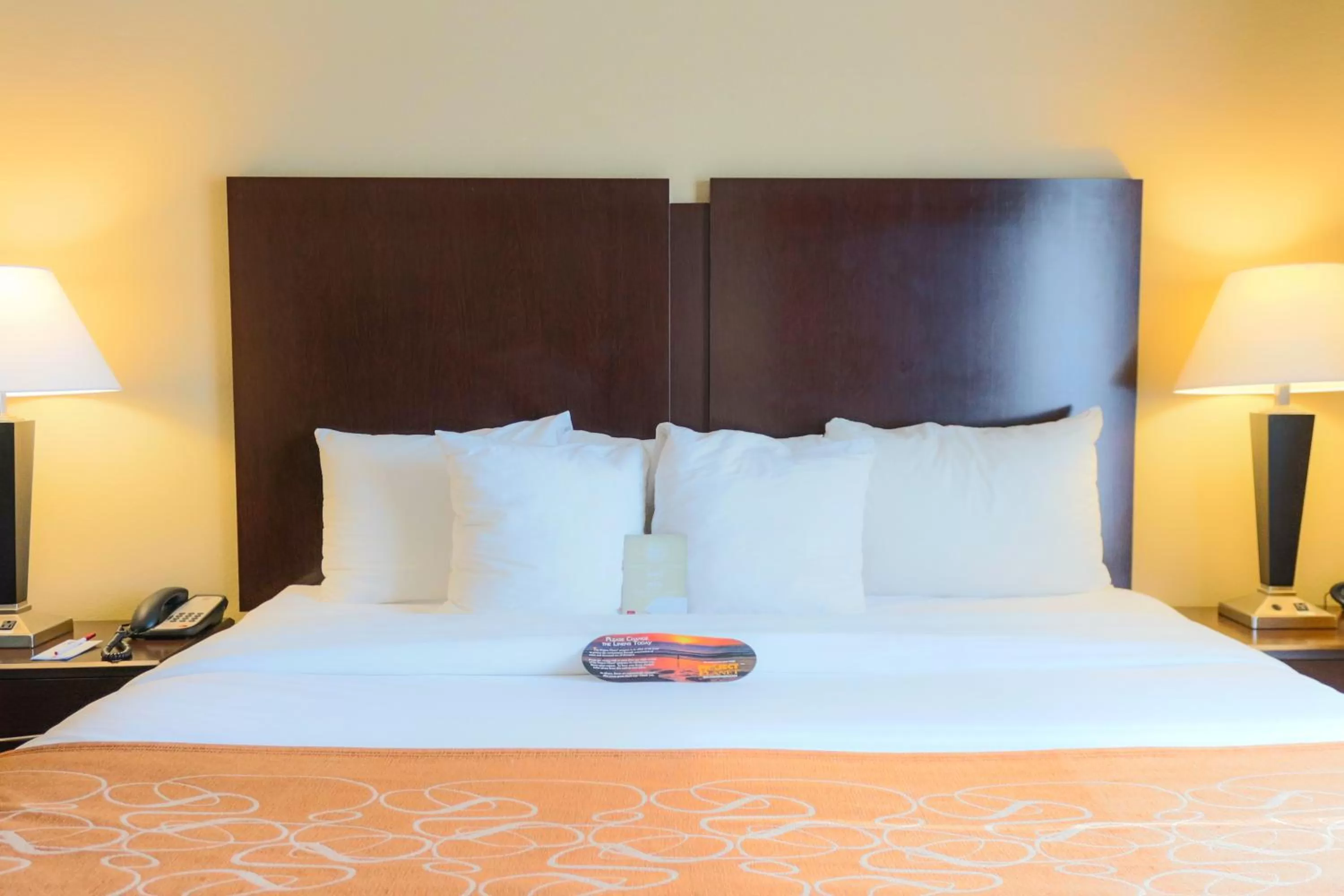 King Suite in Comfort Suites Charleston West Ashley