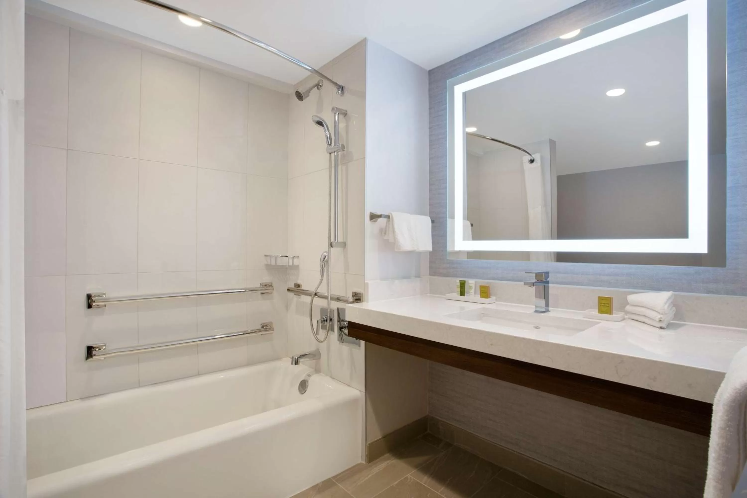 King Room with Bath Tub - Disability Access in Hilton Tampa Downtown