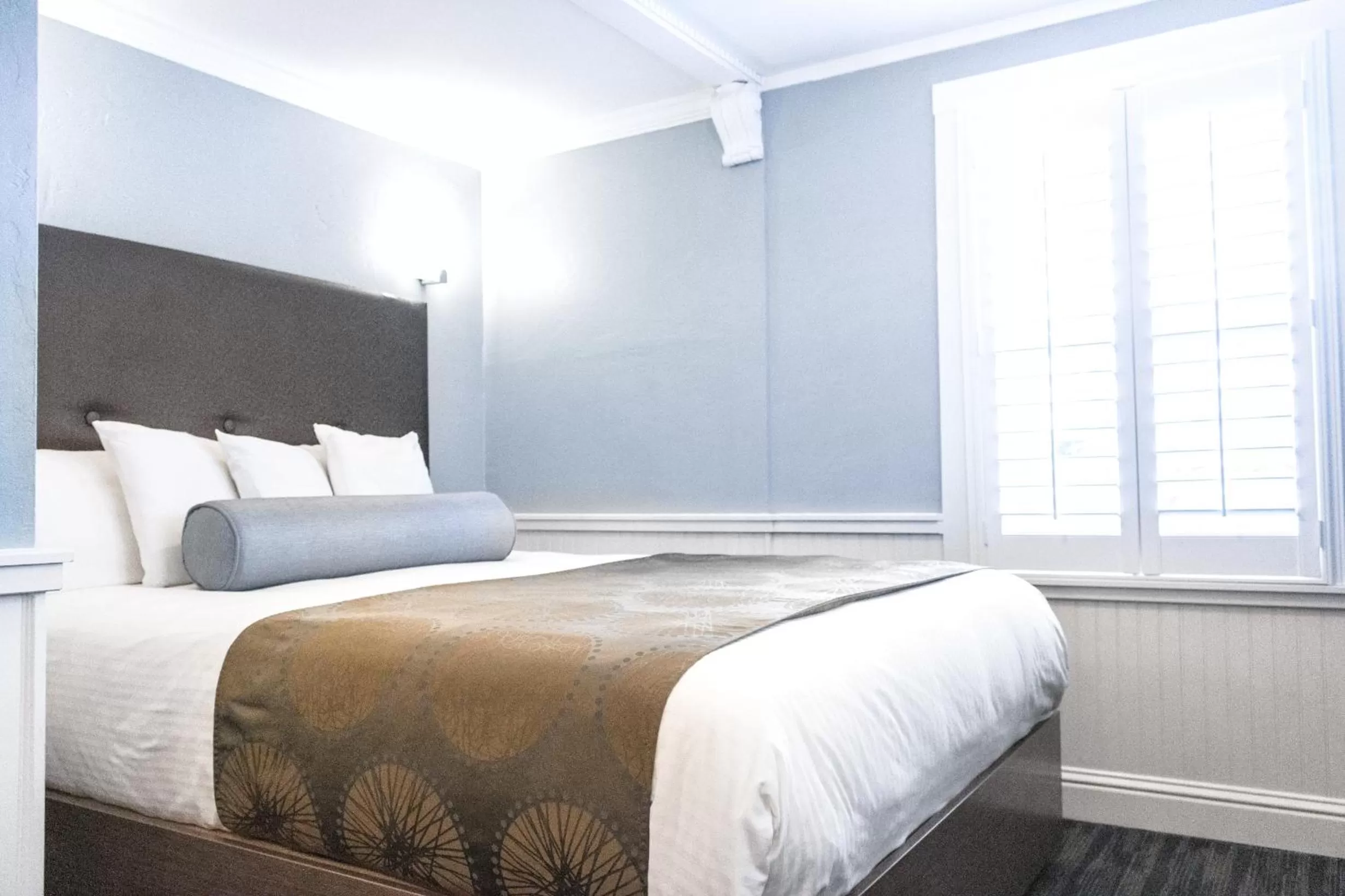 Sand Dollar Room (14), Standard Queen - No Pets in Ocean Echo Inn & Beach Cottages