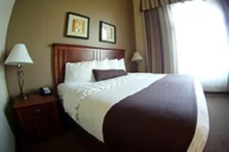 Executive King Room in C'mon Inn & Suites Fargo