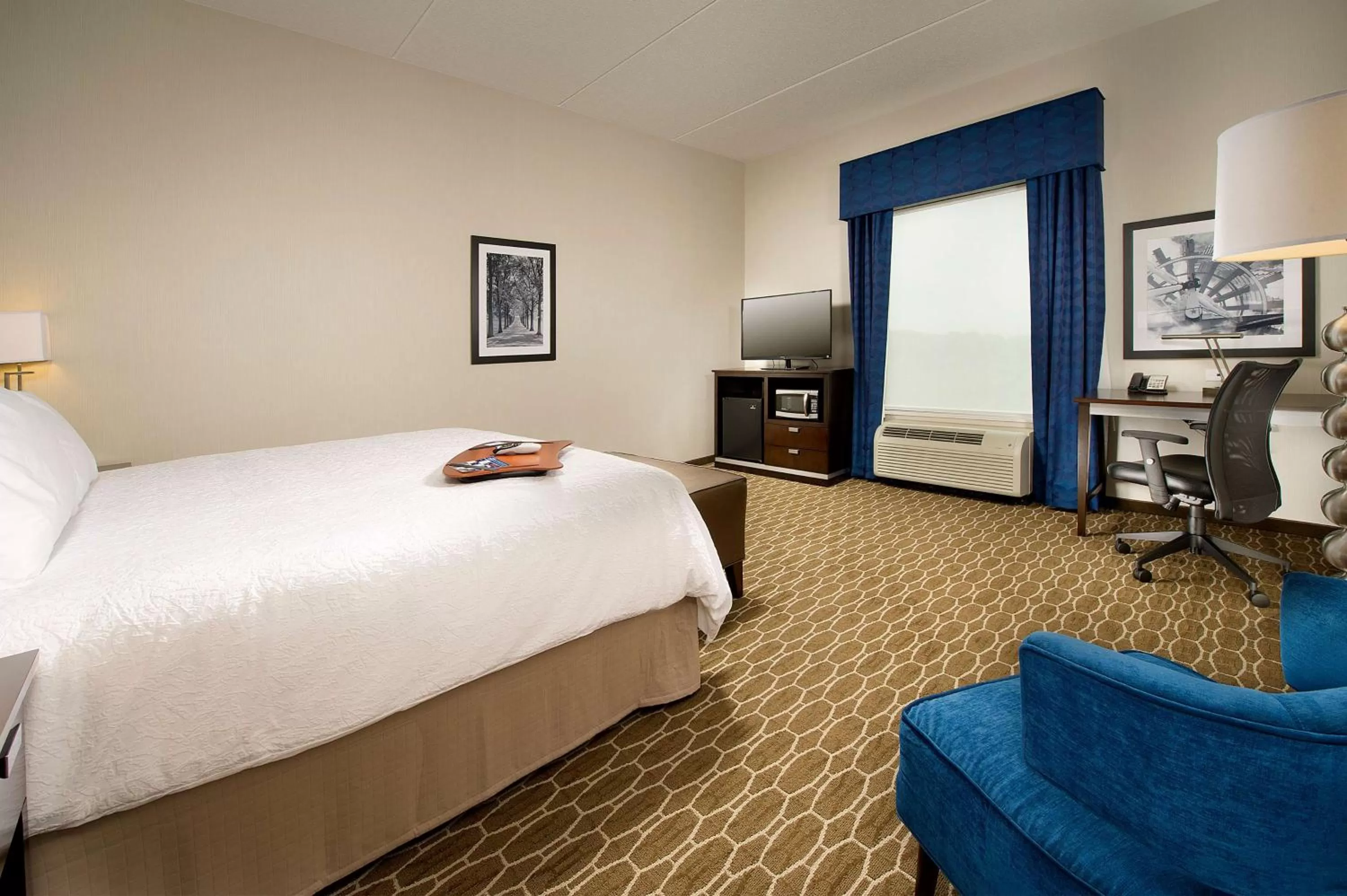 King Room with King Bed - Non-Smoking in Hampton Inn and Suites Washington DC North/Gaithersburg