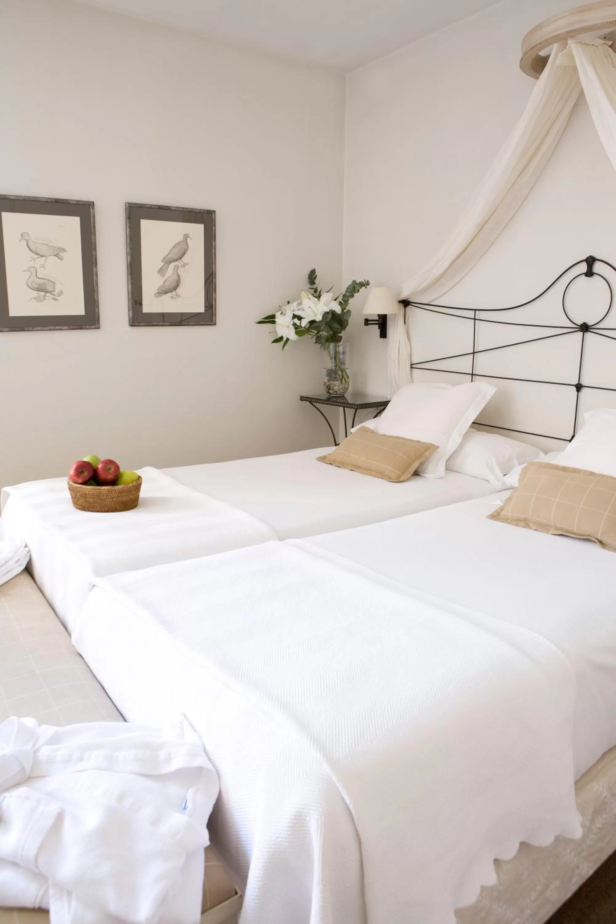 Premium Twin Room in Palacio De Los Navas