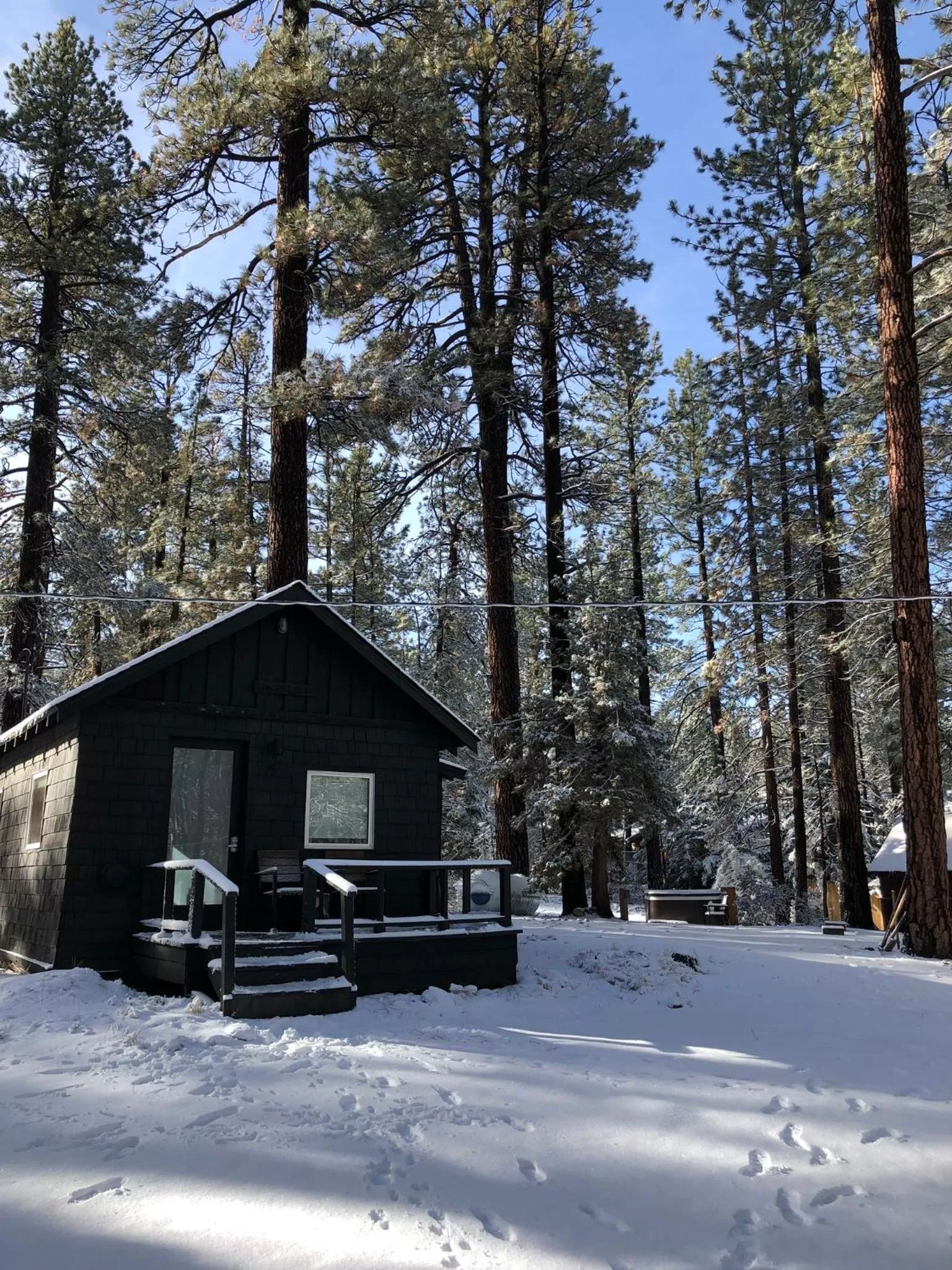 Studio with Garden View in Colorado Lodge