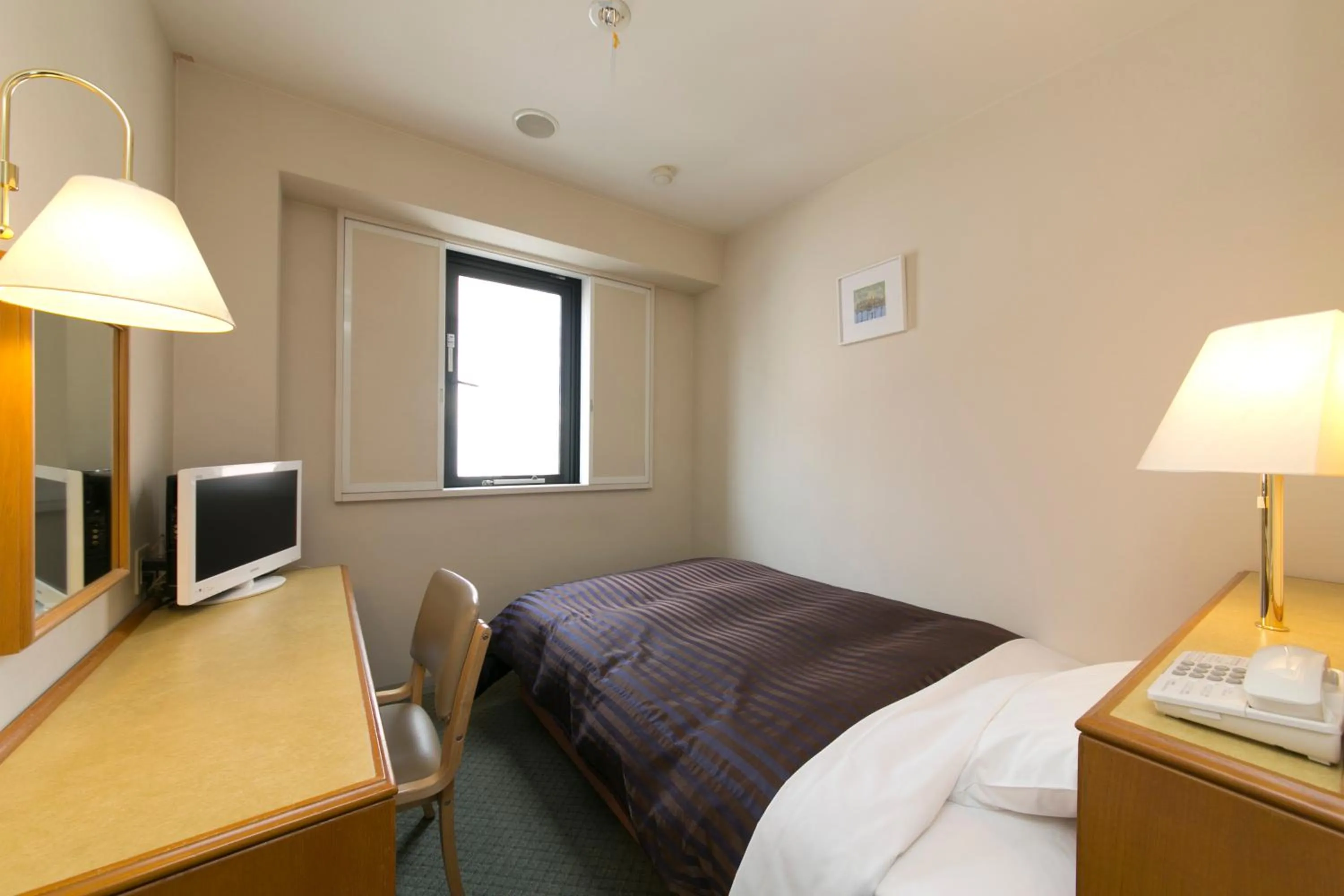 Single Room - Non-Smoking in Ace Inn Matsumoto