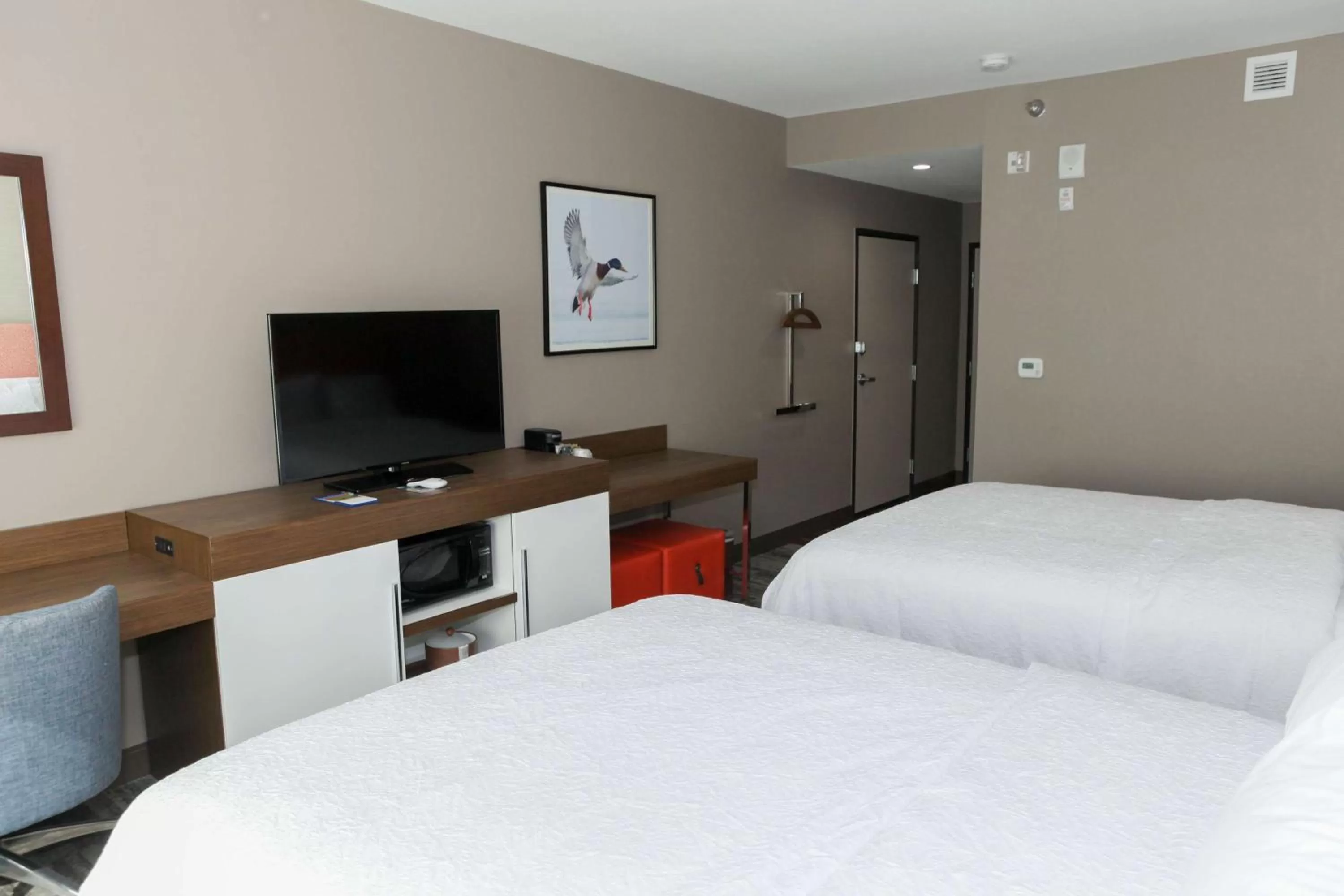 Queen Room with Two Queen Beds - Mobility Access/Non-Smoking in Hampton Inn & Suites Lafayette