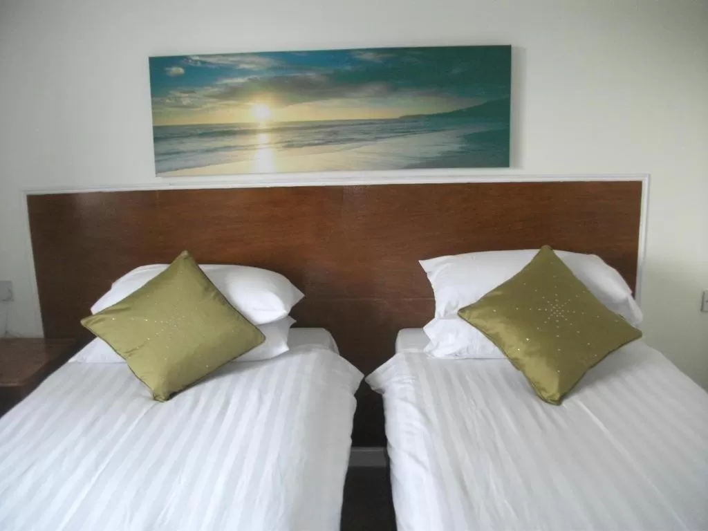 Standard Twin Room in County Hotel