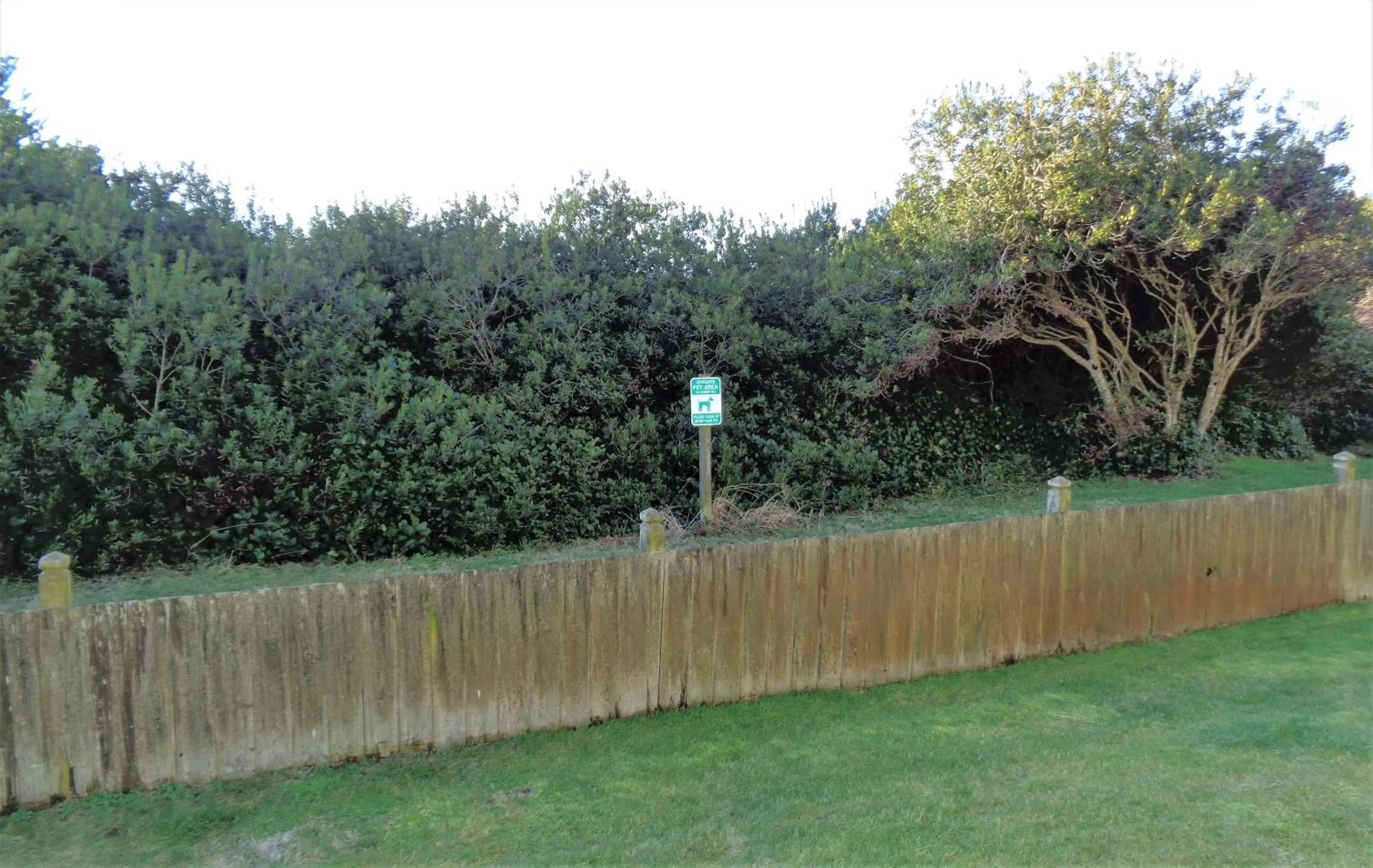 2 Bedroom, 1 King, 1 Queen, Non-View, No Pets - single occupancy in The Polynesian Resort