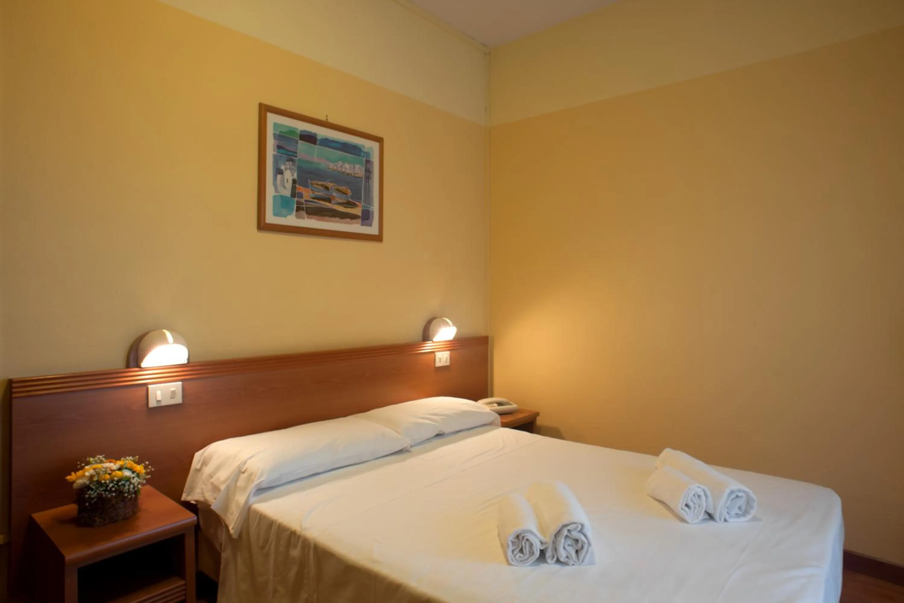 Single Room in Hotel Regent