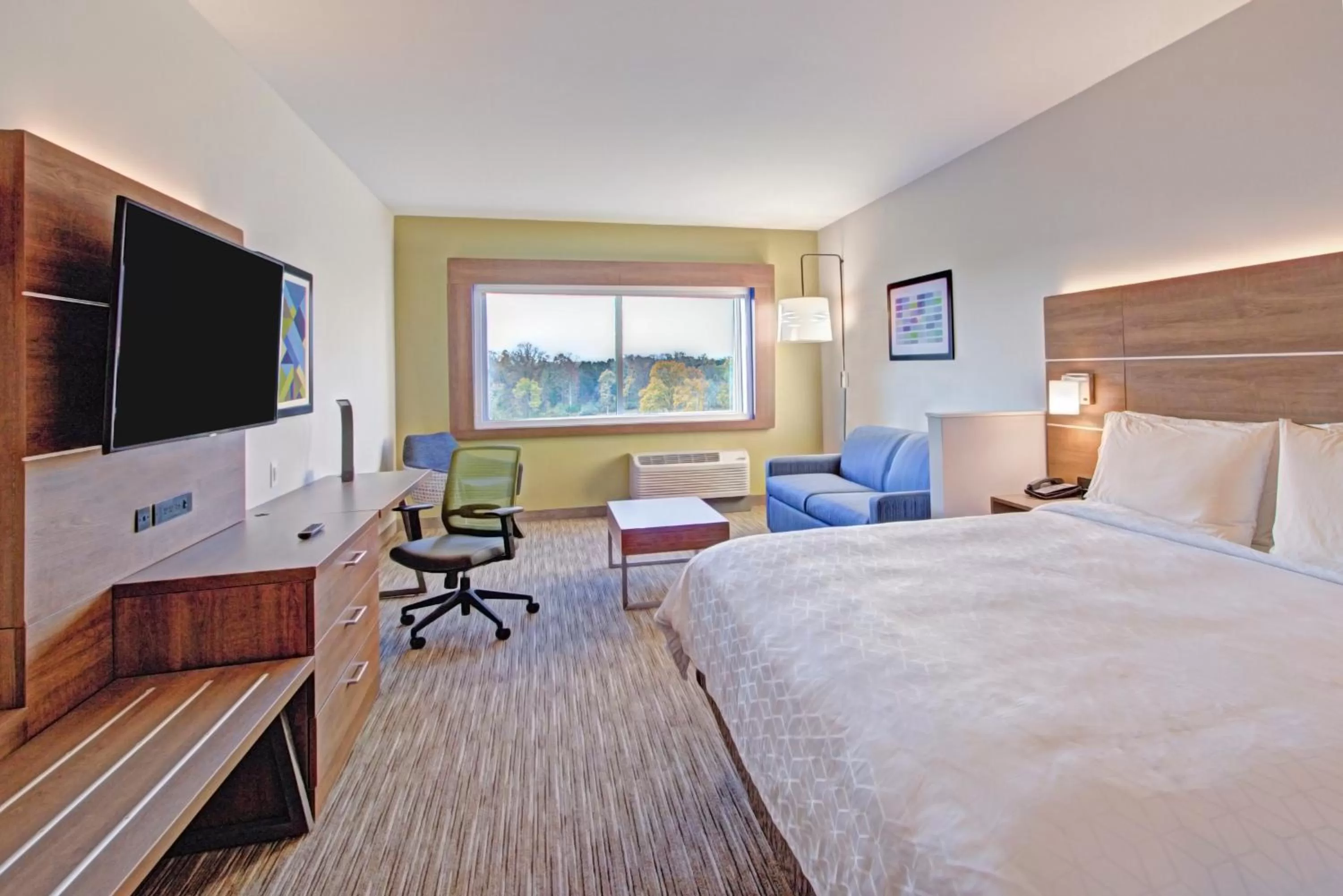 King Suite with Lake View in Holiday Inn Express & Suites Charlotte Southwest by IHG