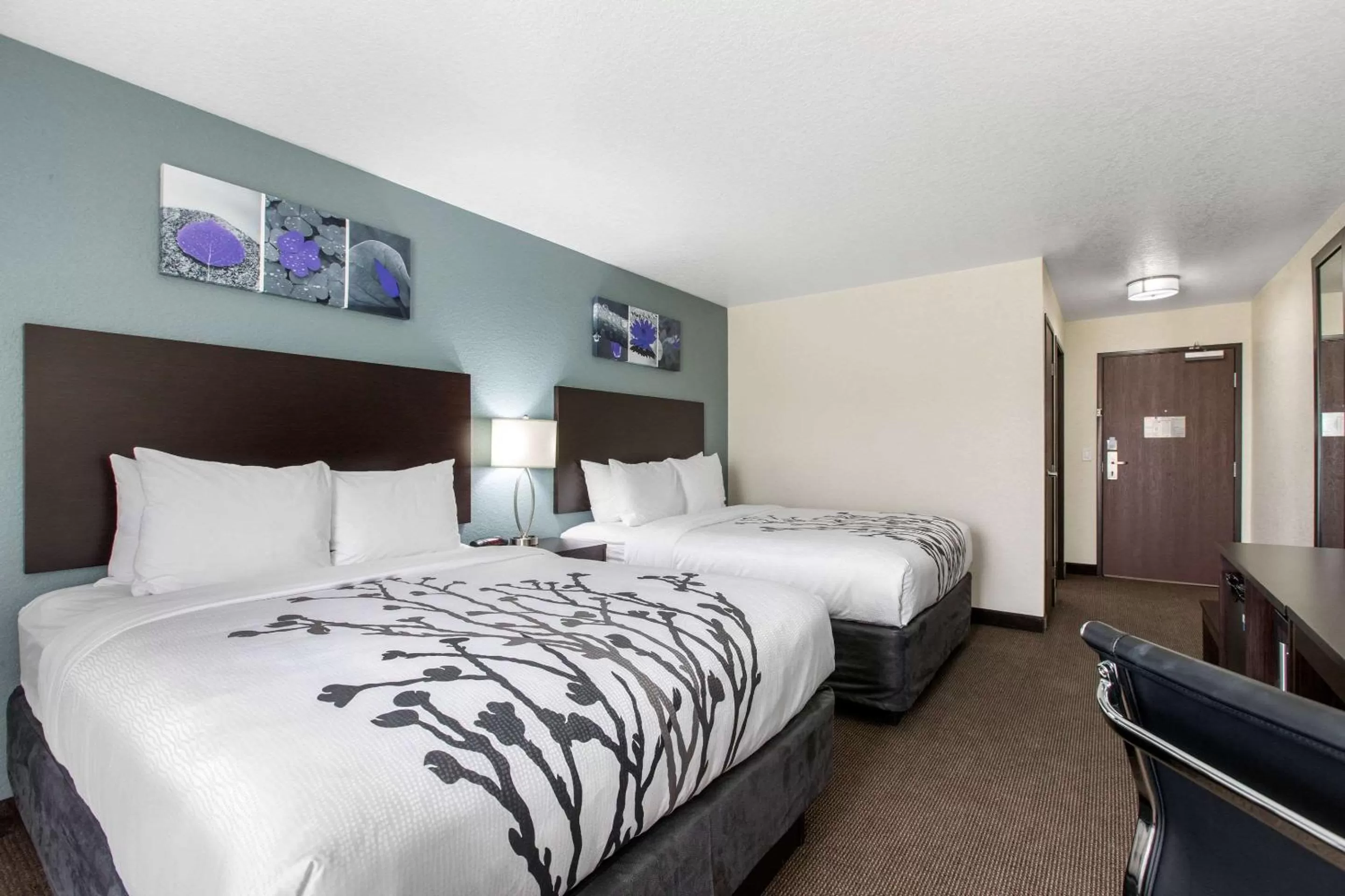 Queen Room with Two Queen Beds - Non-Smoking in Sleep Inn & Suites Ankeny - Des Moines