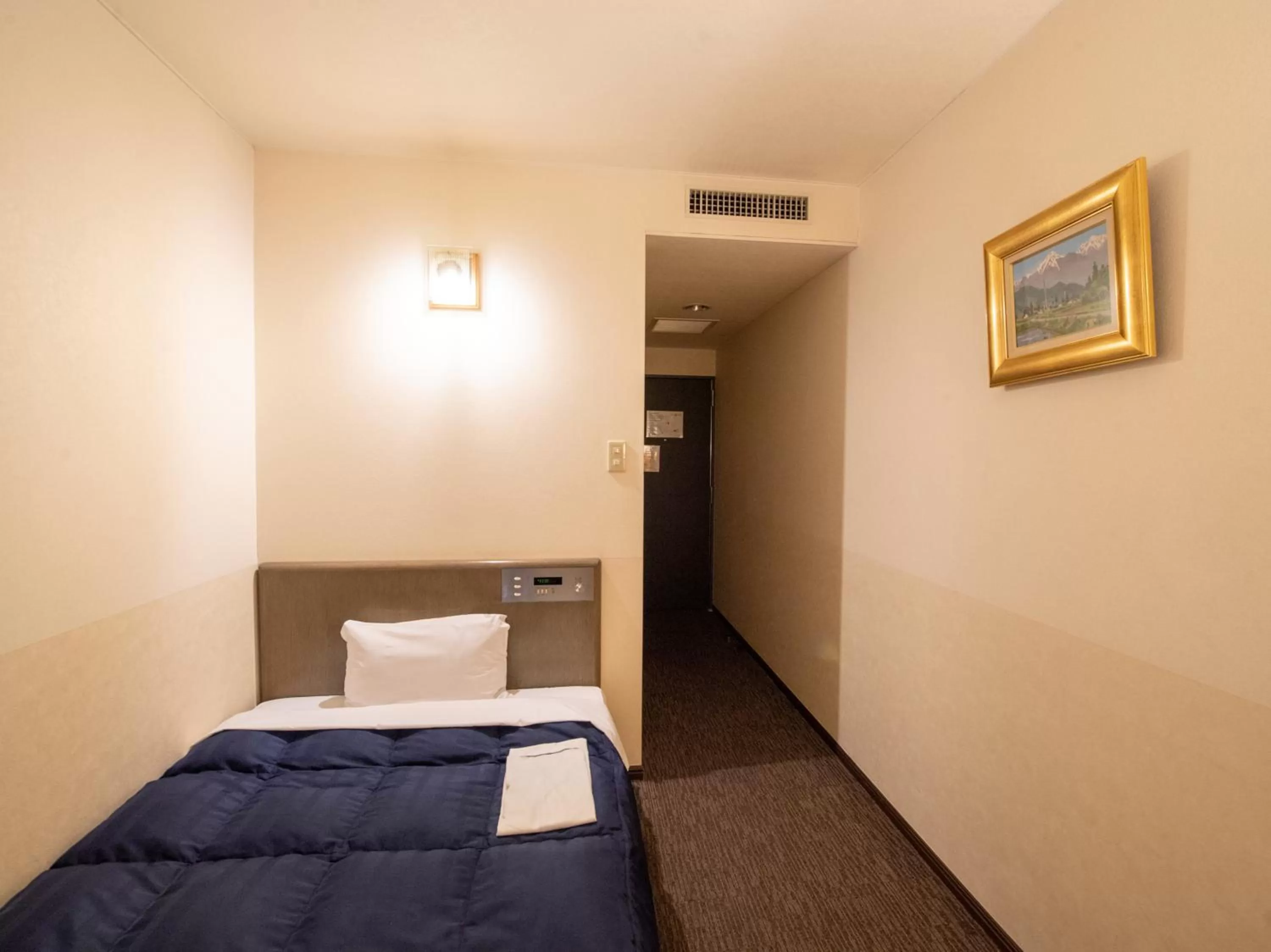 Economy Double Room - single occupancy - Non-Smoking in Hotel Iidaya