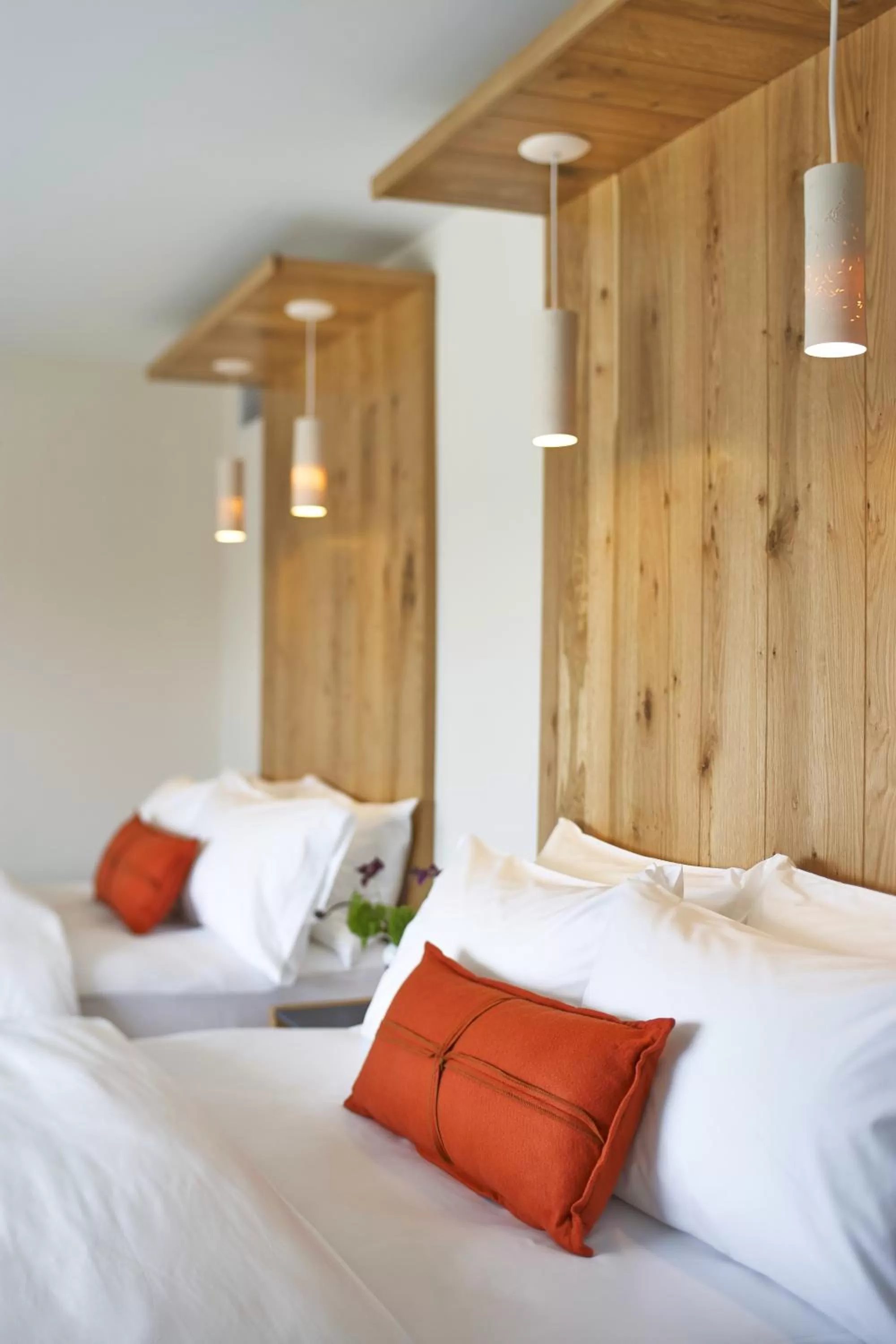 Queen and Double Room - Limited View in Hotel Vermont Burlington