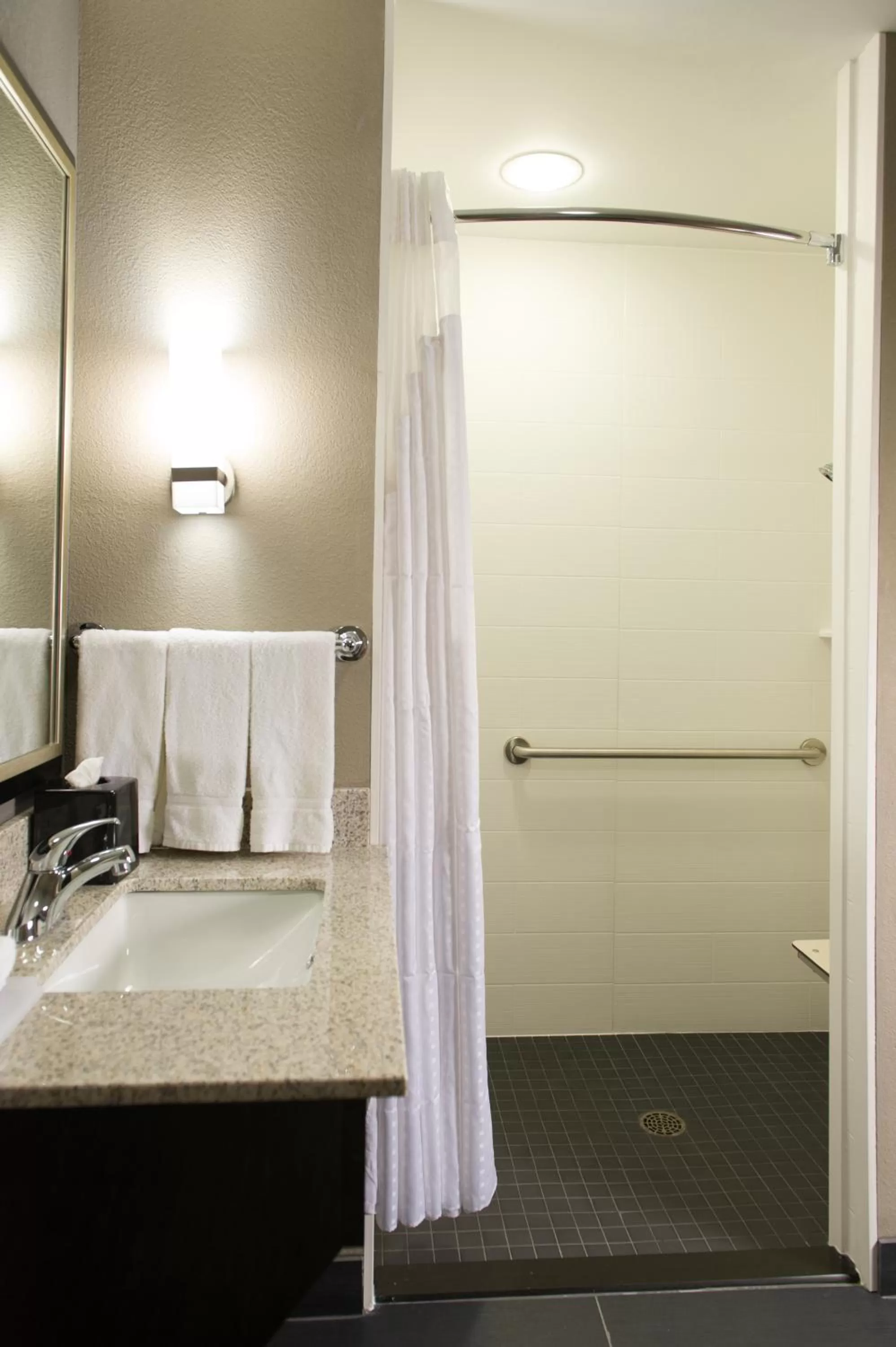 Standard Studio Hear Accessible Rolling Shower in Holiday Inn Express and Suites Madison Central by IHG