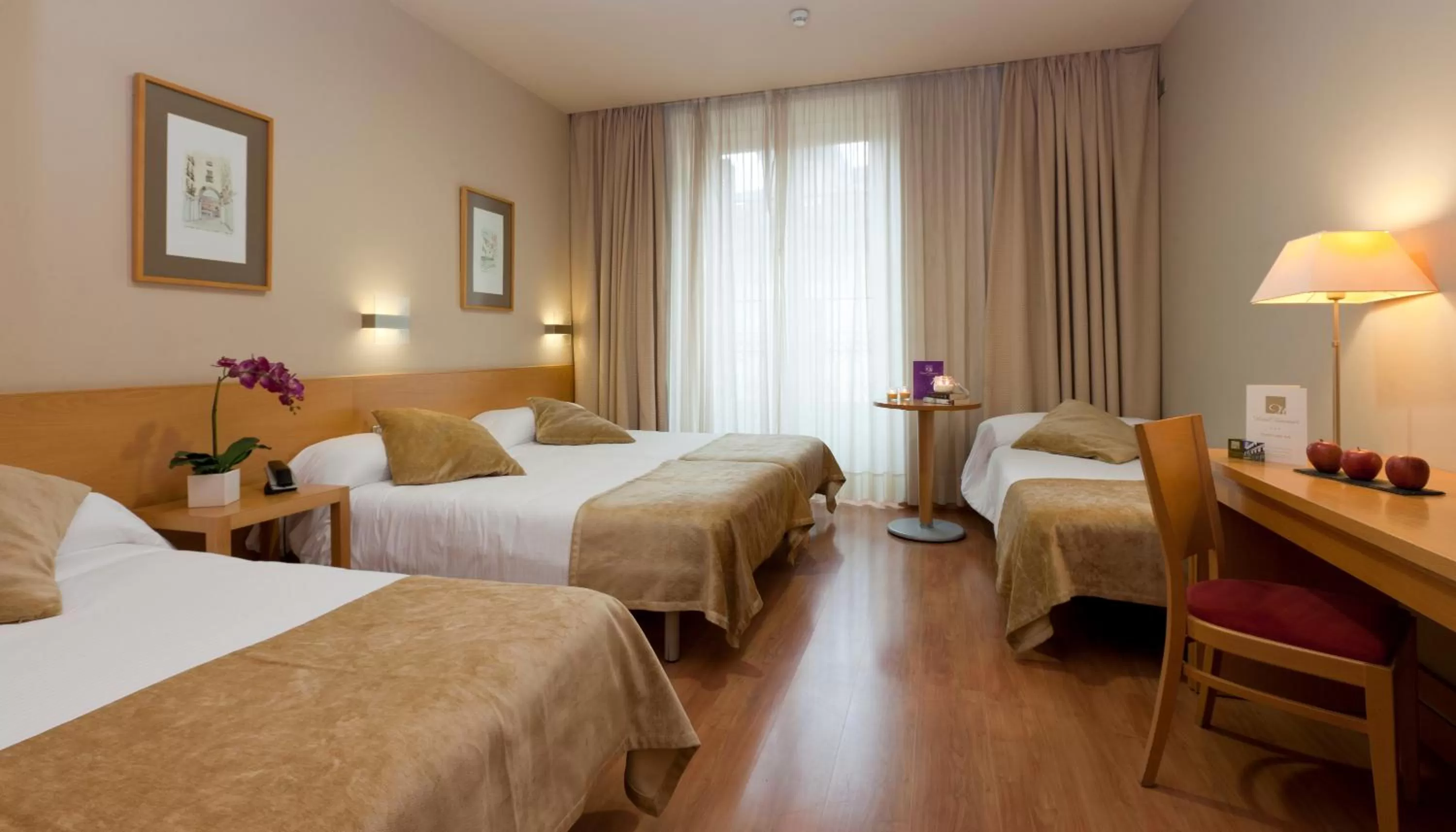 Family Room in Victoria 4 Puerta del Sol