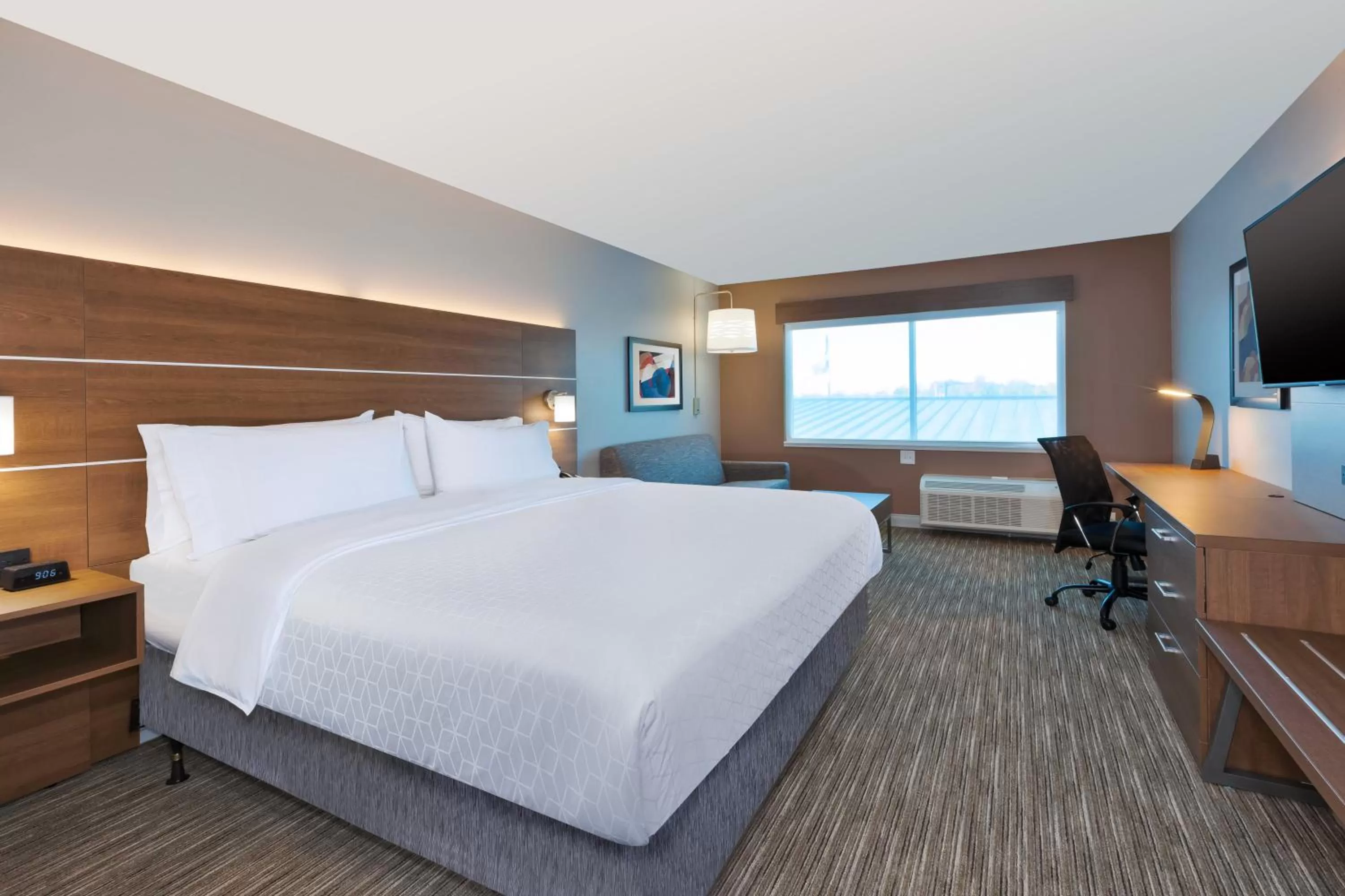 King Suite in Holiday Inn Express & Suites - Cedar Springs - Grand Rapids N by IHG