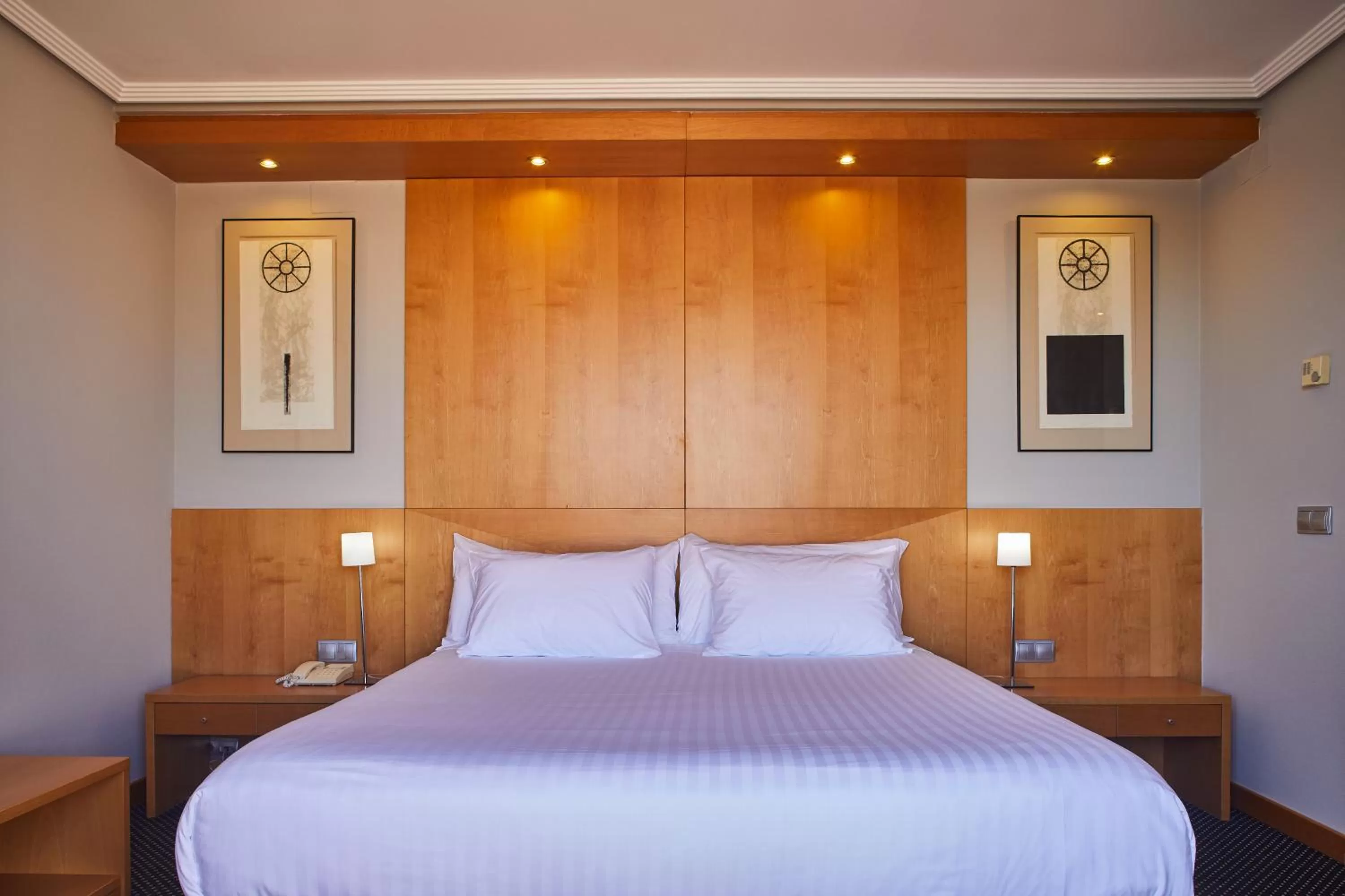 Superior Double or Twin Room in Silken Alfonso X