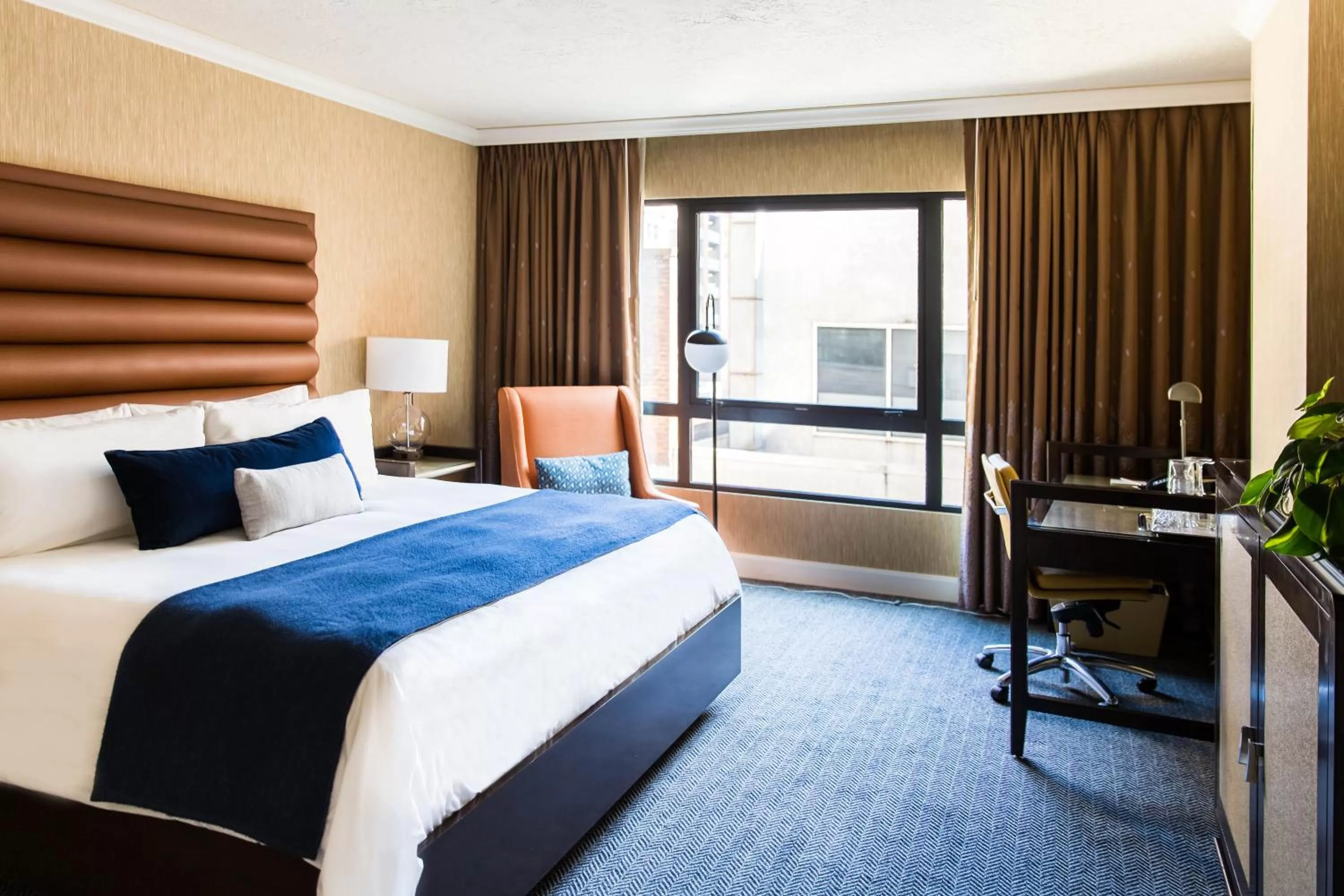 Standard King  in Dossier