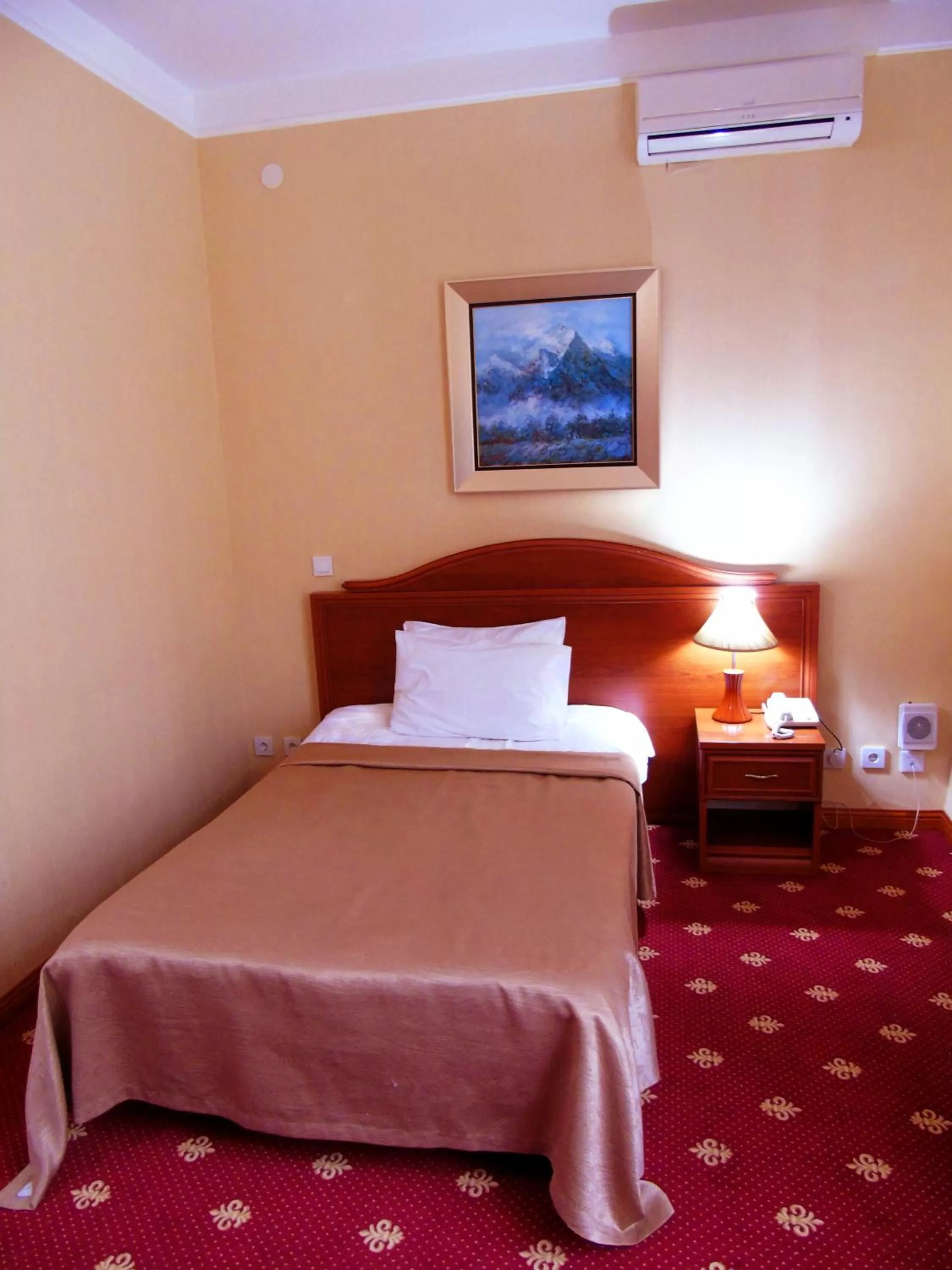 Single Room in Amsterdam Hotel Aktobe