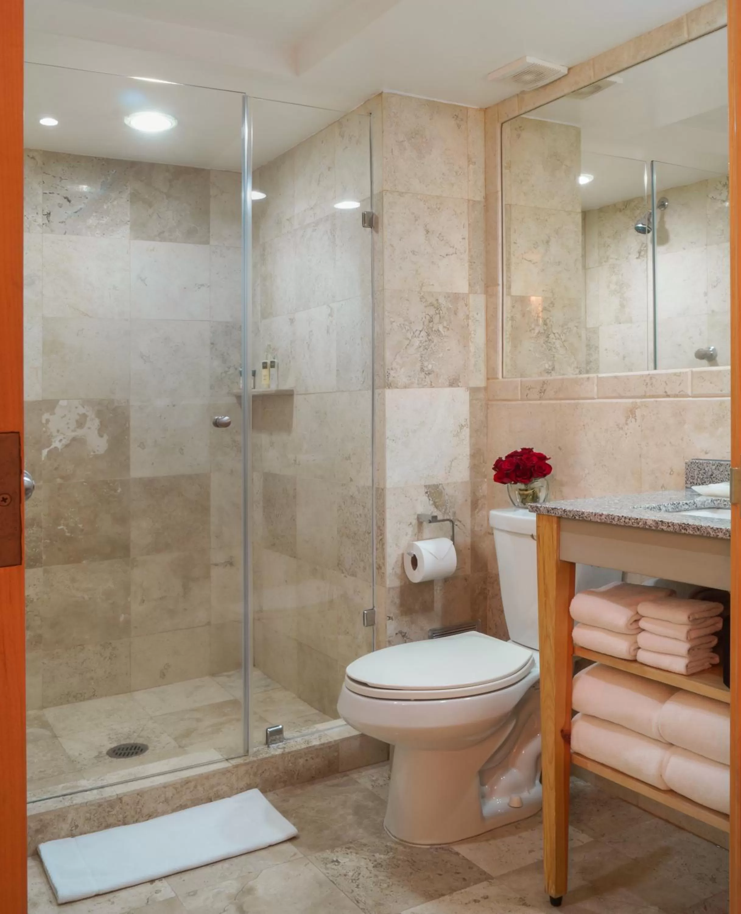 Junior Suite with two Beds in Alteza Polanco