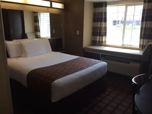 Queen Room - Non-Smoking in Microtel Inn & Suites Mansfield PA