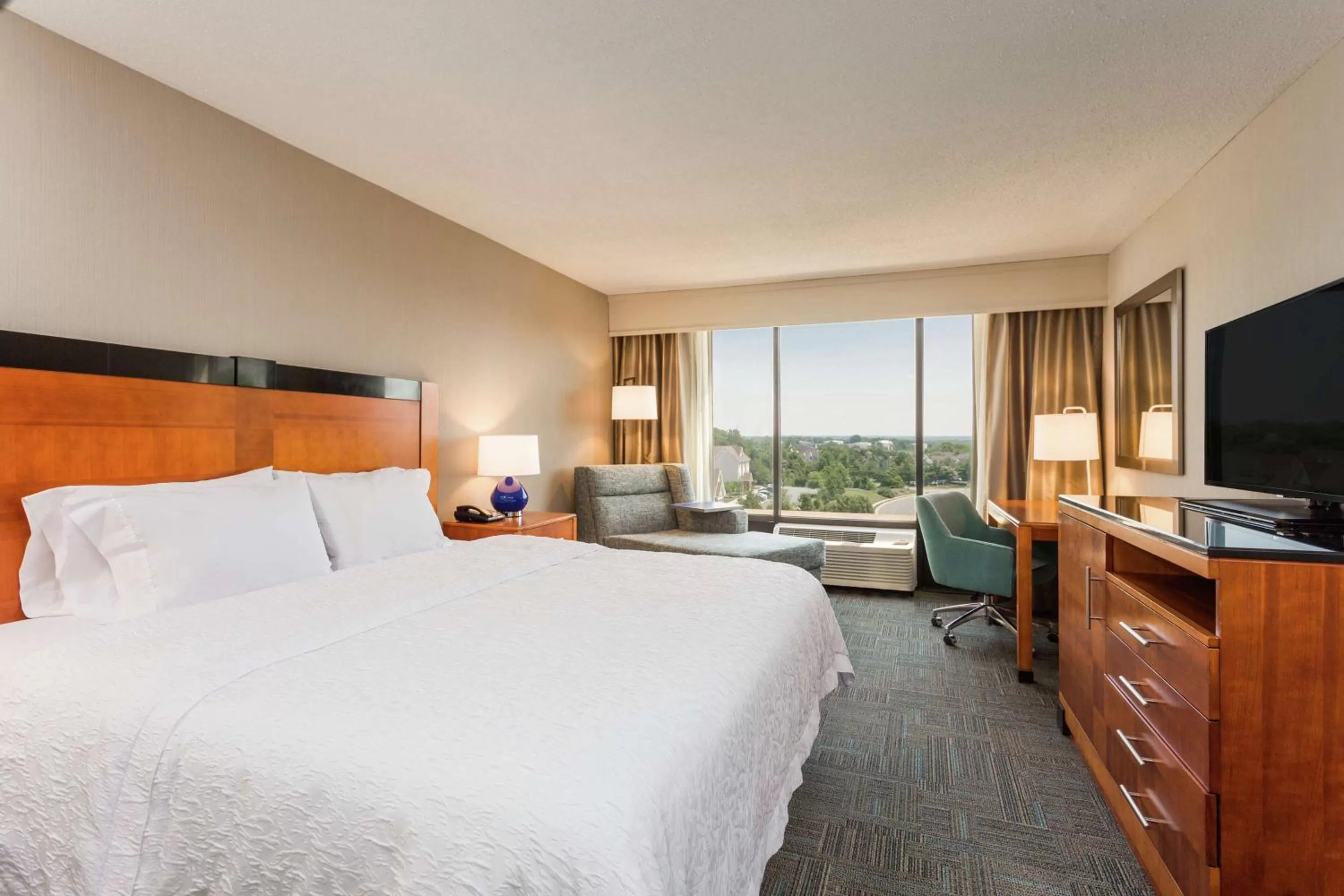 Non-Smoking King Room with Easy Chair in Hampton Inn Manassas