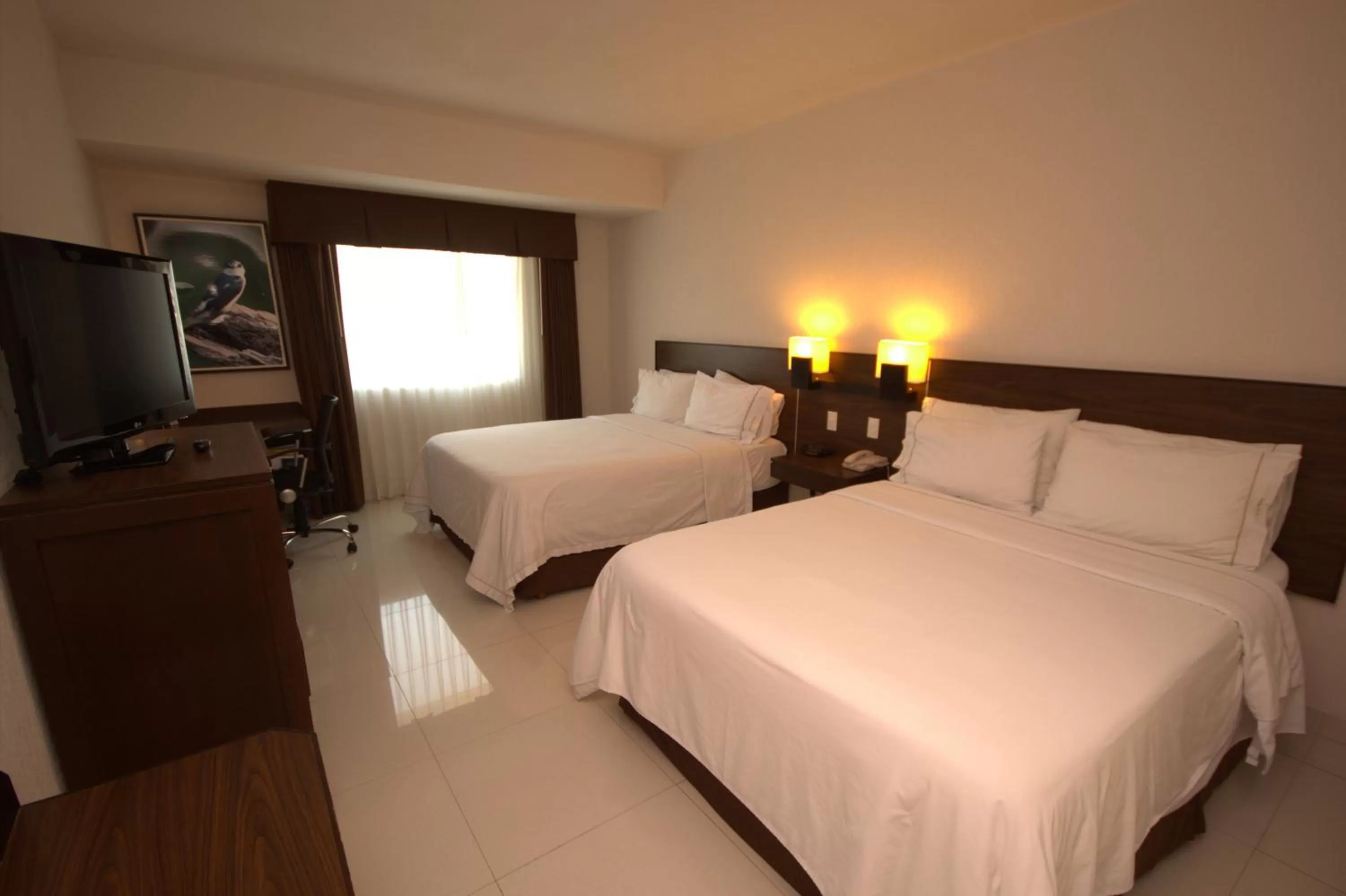 Standard Double Room with Two Double Beds in Holiday Inn Express Tuxtla Gutierrez La Marimba by IHG