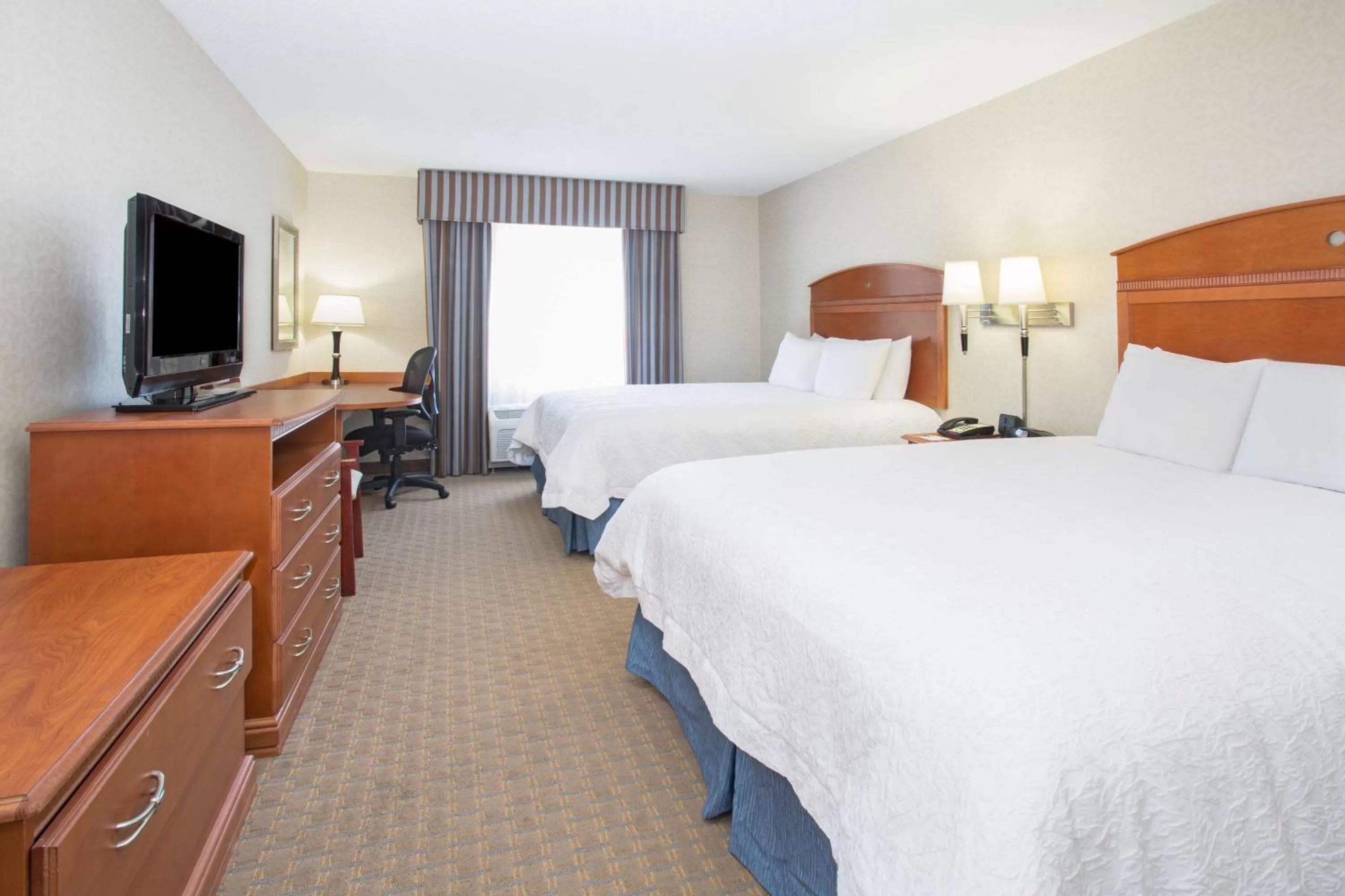Studio with Two Queen Beds and Bath Tub - Mobility and Hearing Access/Non-Smoking in Hampton Inn Santa Rosa