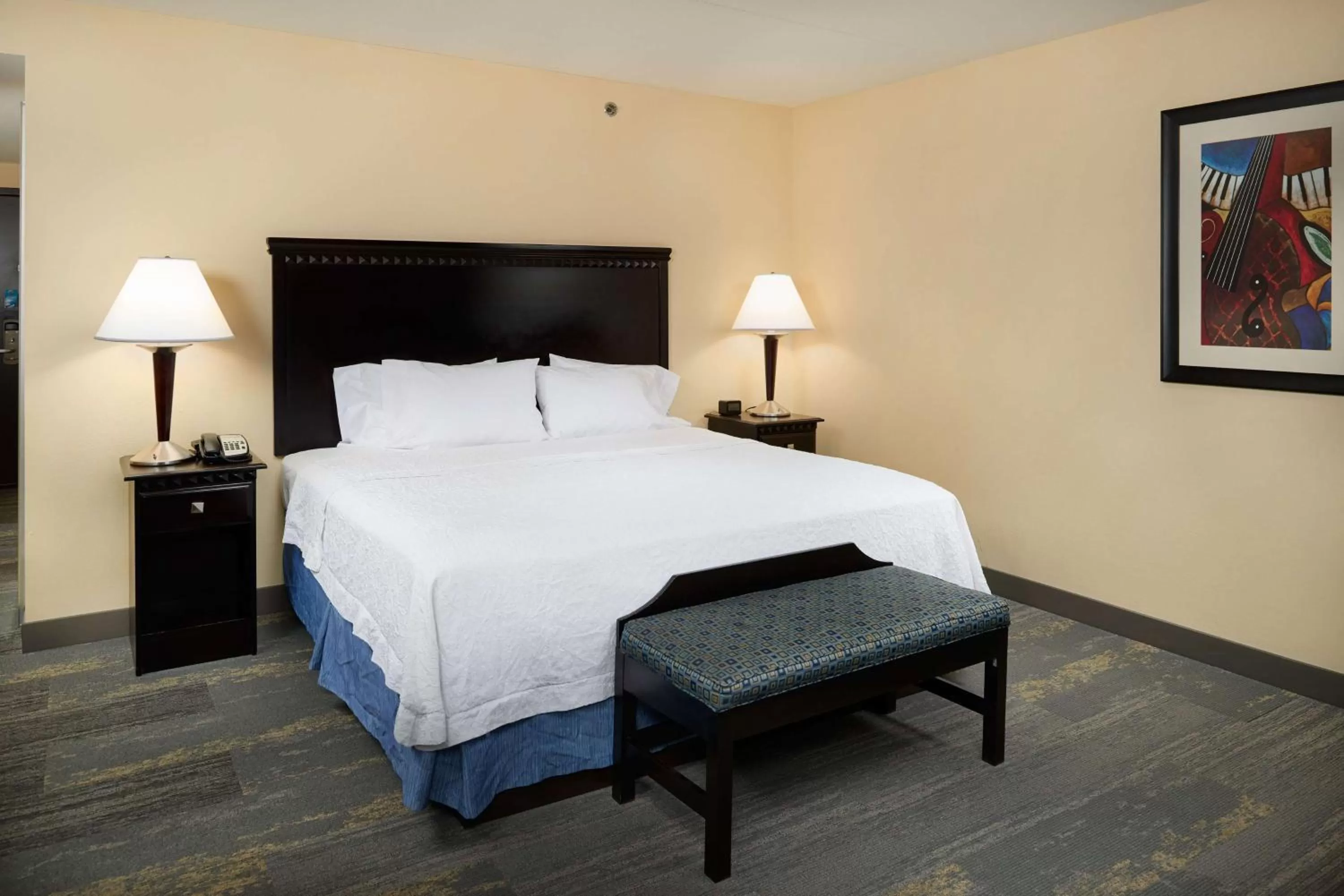 King Room with Accessible Tub - Mobility and Hearing Access/Non-Smoking in Hampton Inn & Suites Mount Juliet