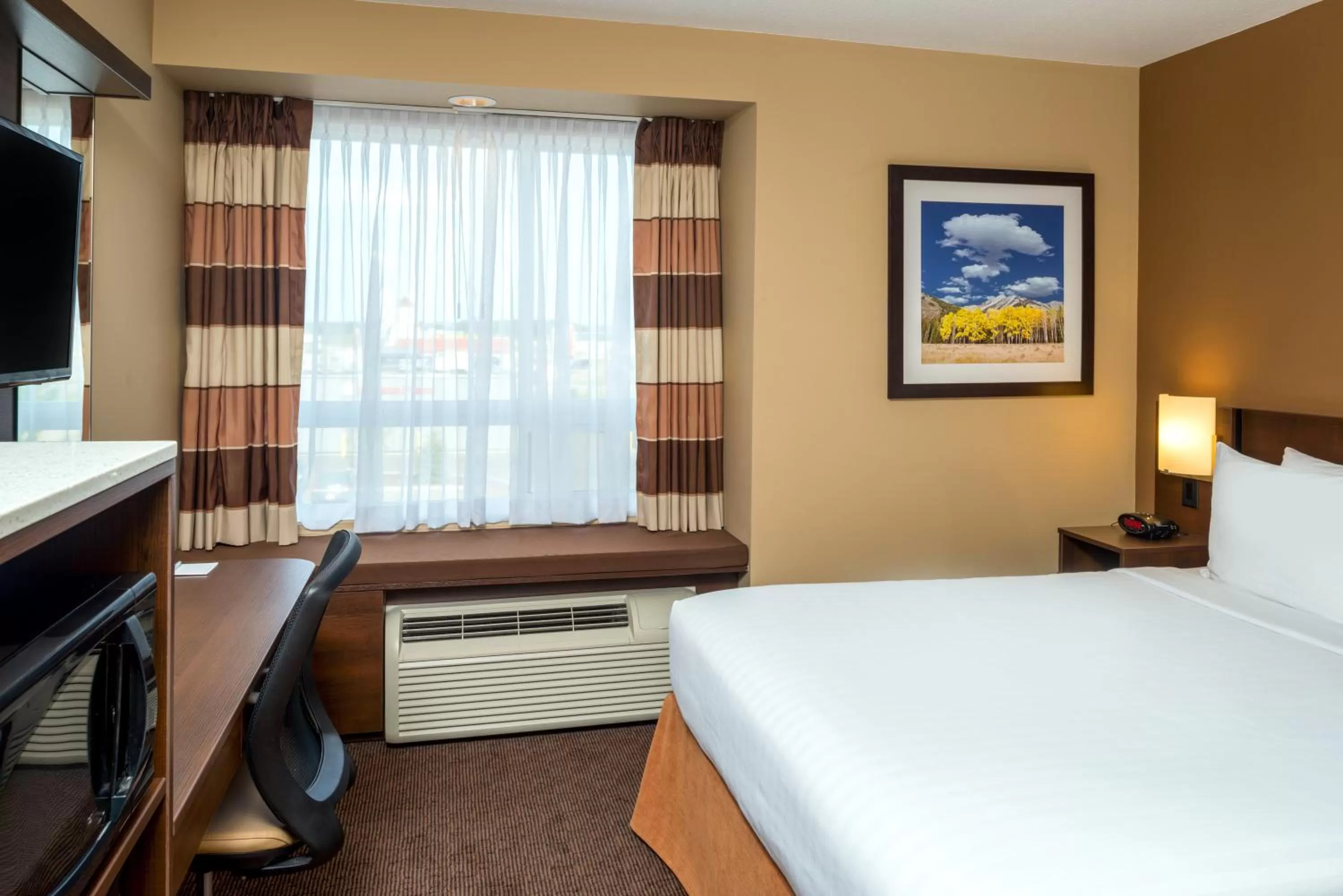 Standard Queen Room - Non-Smoking in Microtel Inn & Suites by Wyndham Red Deer