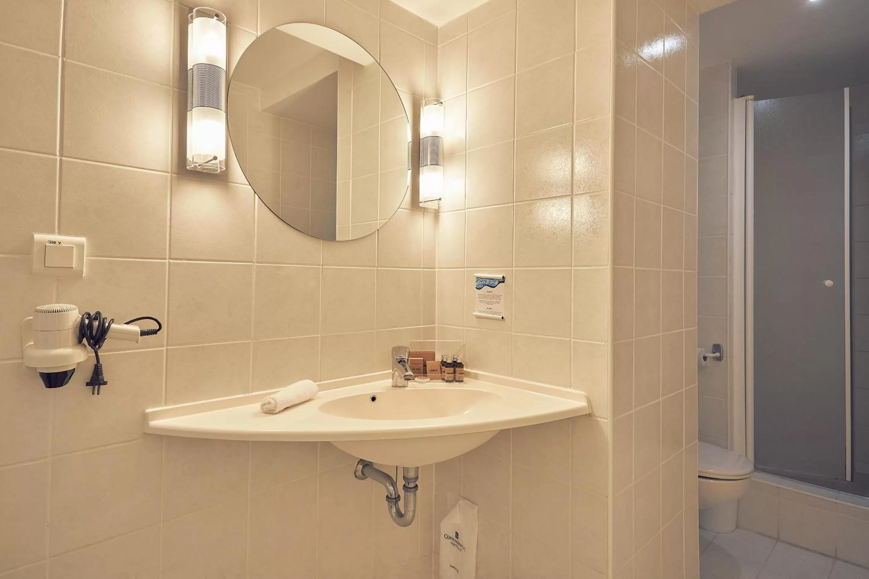 Standard Family Room with sofabed  in Continental Forum Constanta