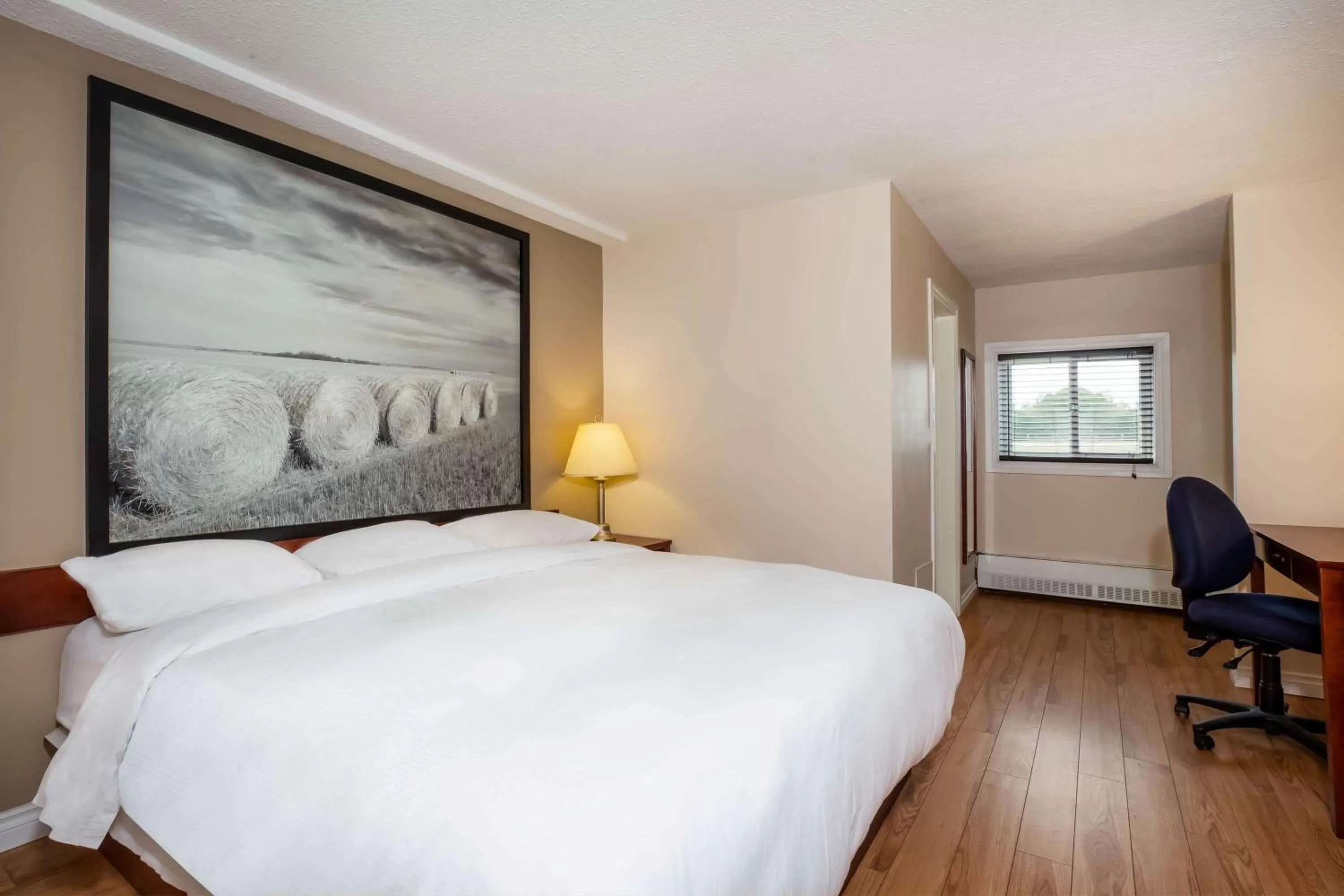 King Studio with Two King Beds - Non-Smoking in Super 8 by Wyndham Smoky Lake