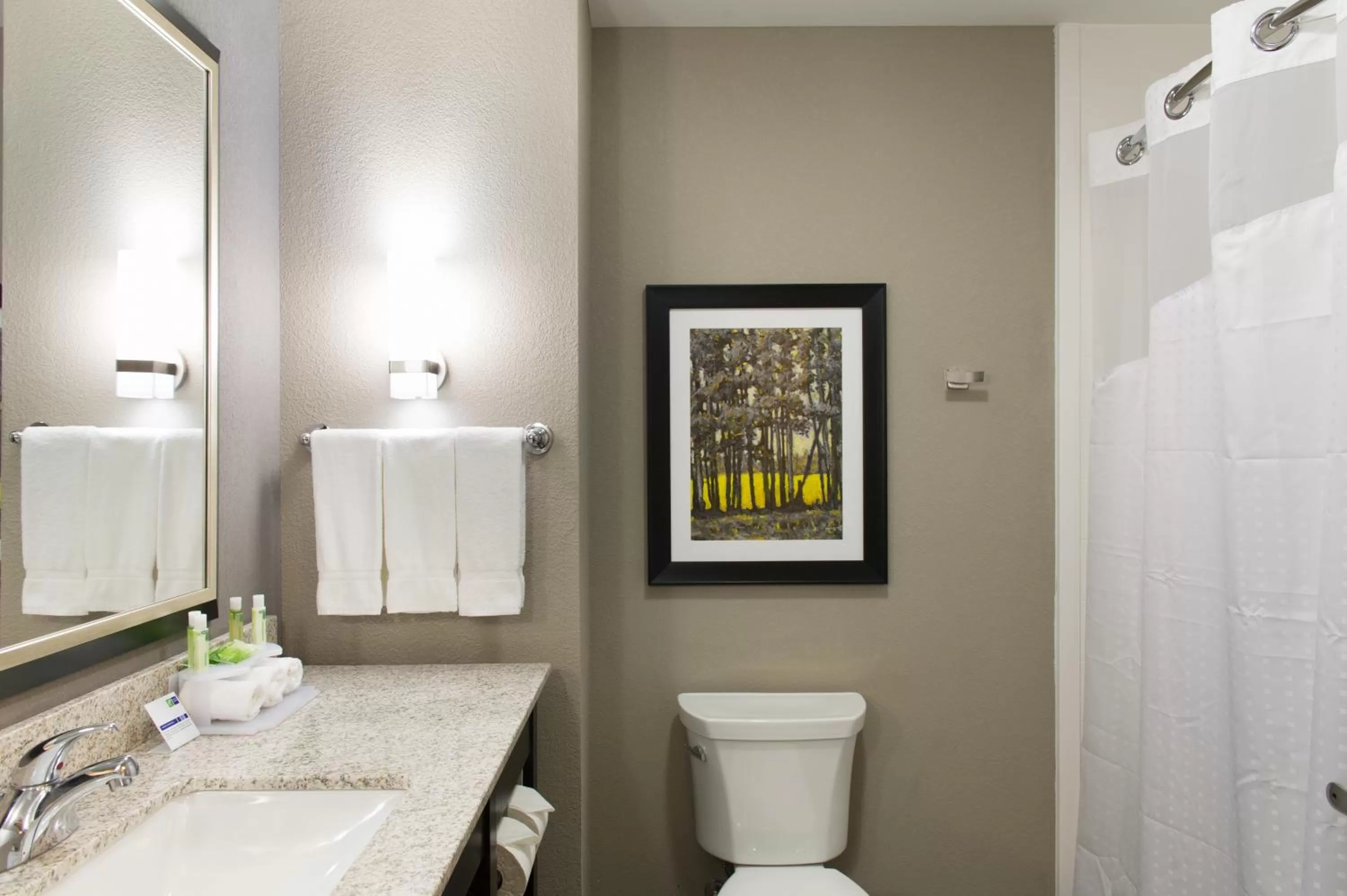 King Room - Hearing Accessible/Non-Smoking  in Holiday Inn Express and Suites Madison Central by IHG