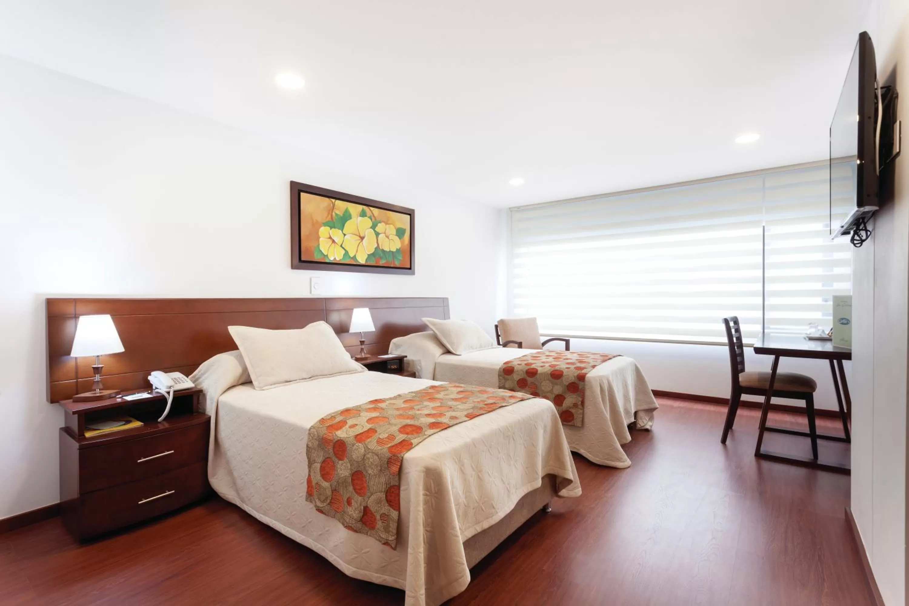 Double Room - single occupancy in Hotel Cuellars