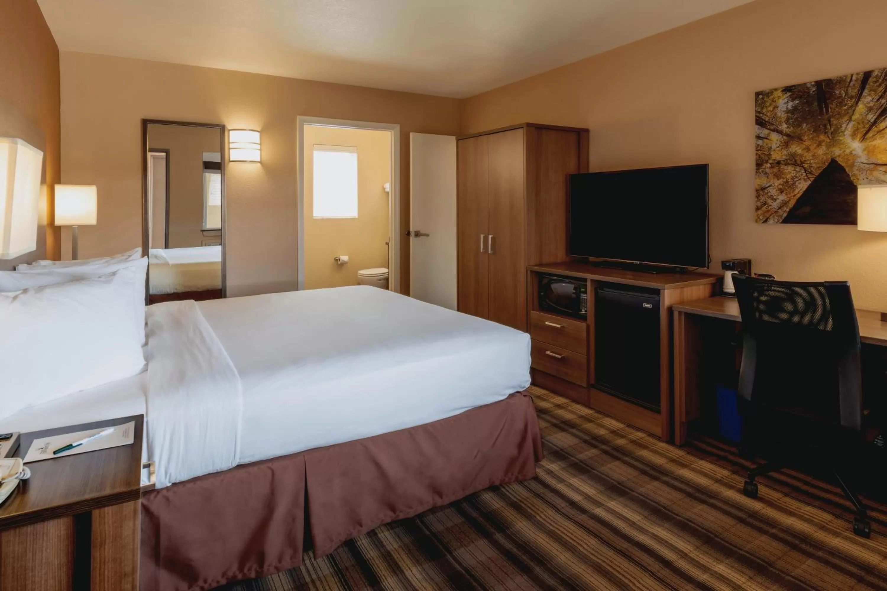 King Room - Disability Access in Boulder University Inn