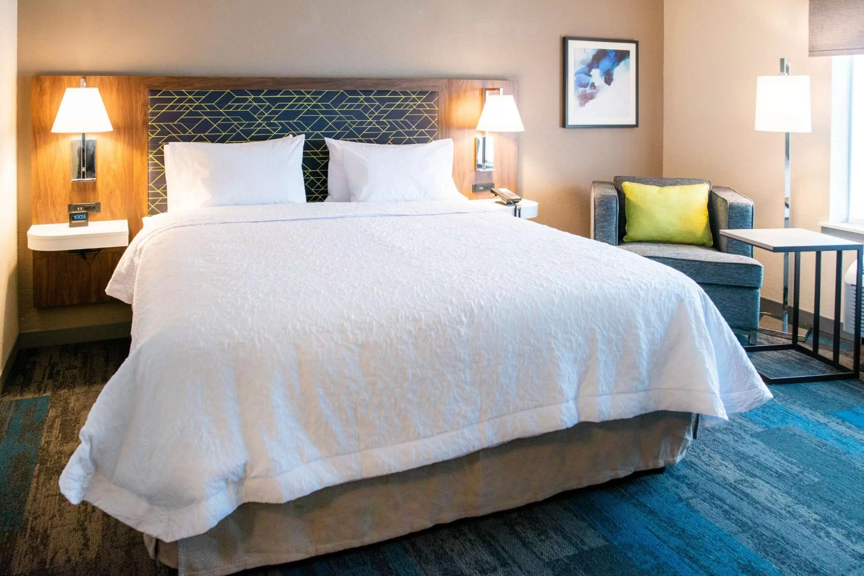 King Room in Hampton Inn Paris IL, IL