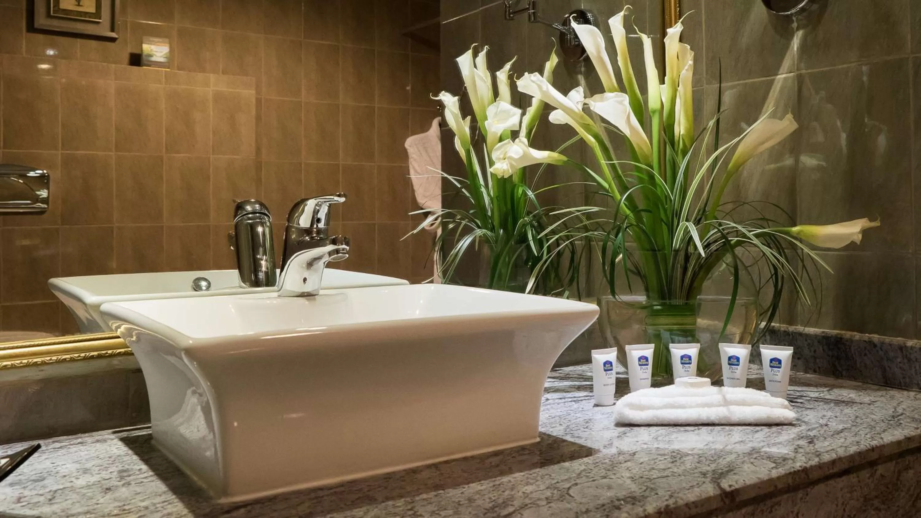 Deluxe King Room in Best Western Plus Doha